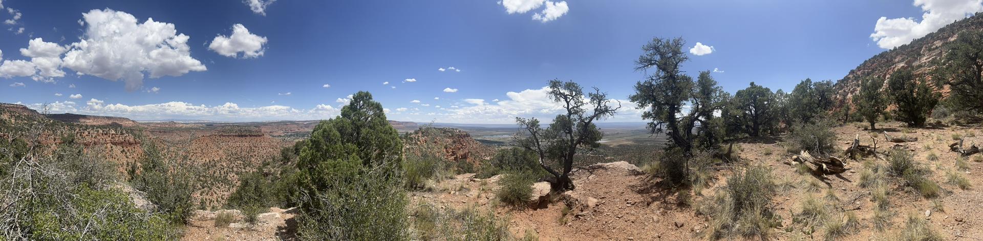 Panoramic desert landscape with sparse trees under a bright blue sky.
