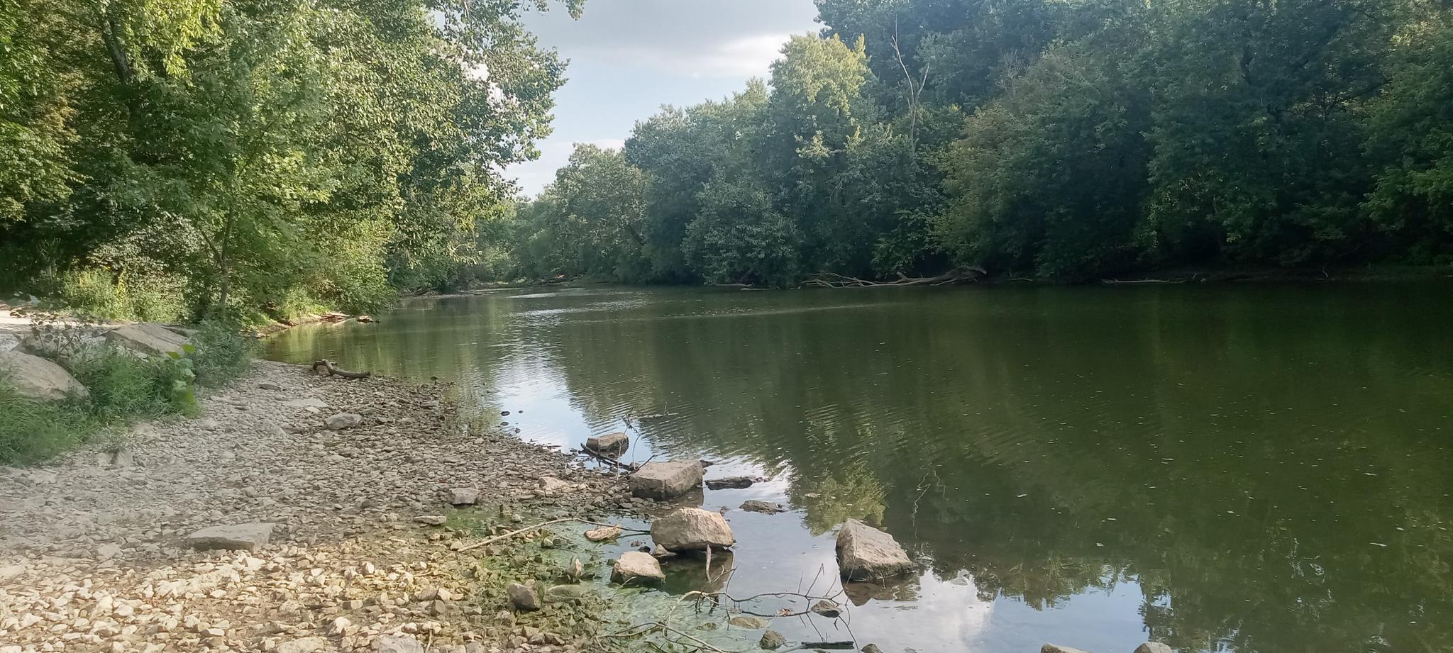 Wide river with a rocky bank and dense green trees under a cloudy sky.