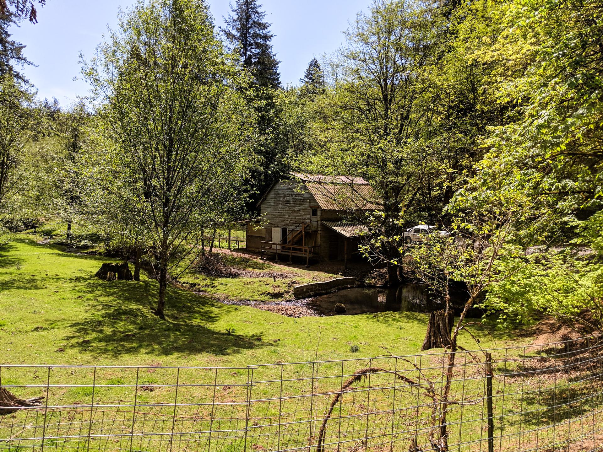Rustic wooden cabin in a sunny green meadow surrounded by trees.