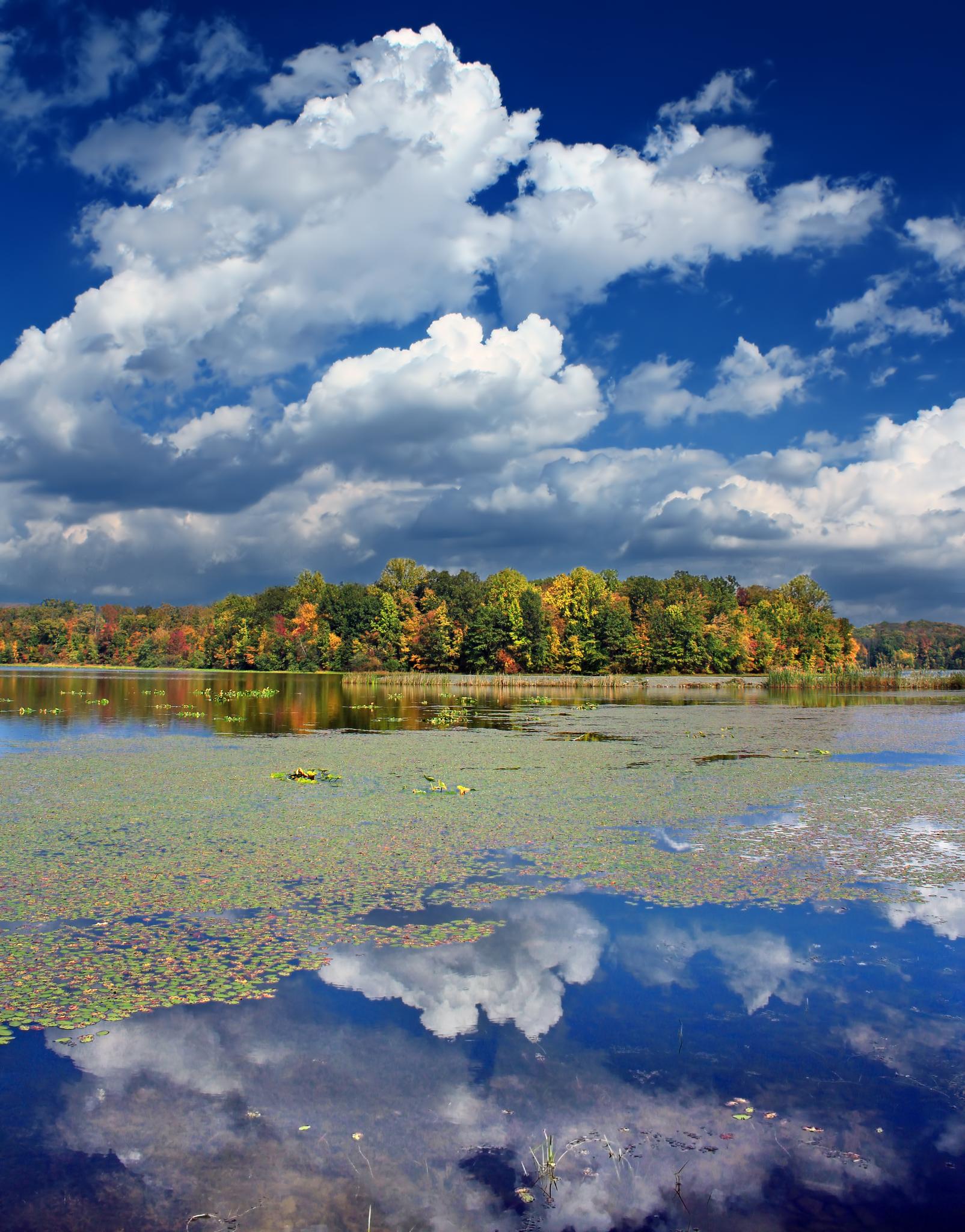 A lake reflects a cloudy sky and colorful autumn trees.