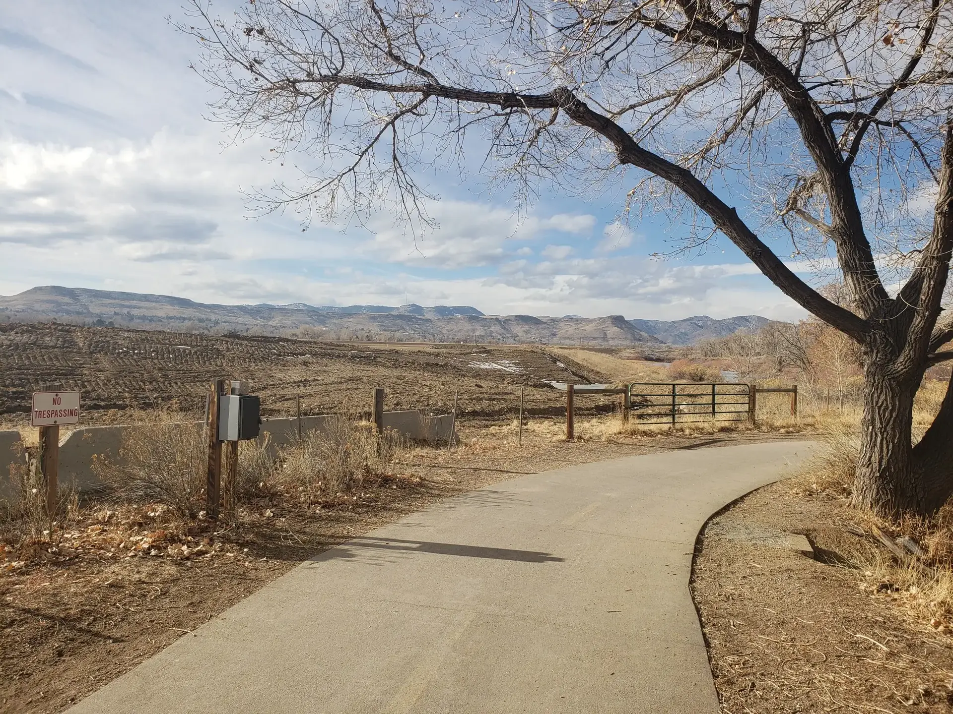 Paved path leading to a valley with barren trees under a cloudy sky.