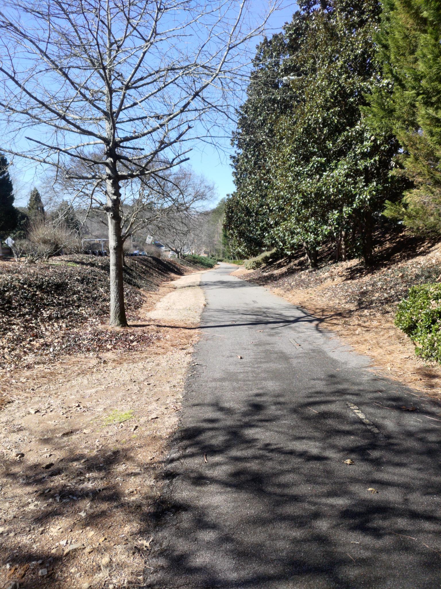 A paved path winds through trees on a sunny day, casting dappled shadows.