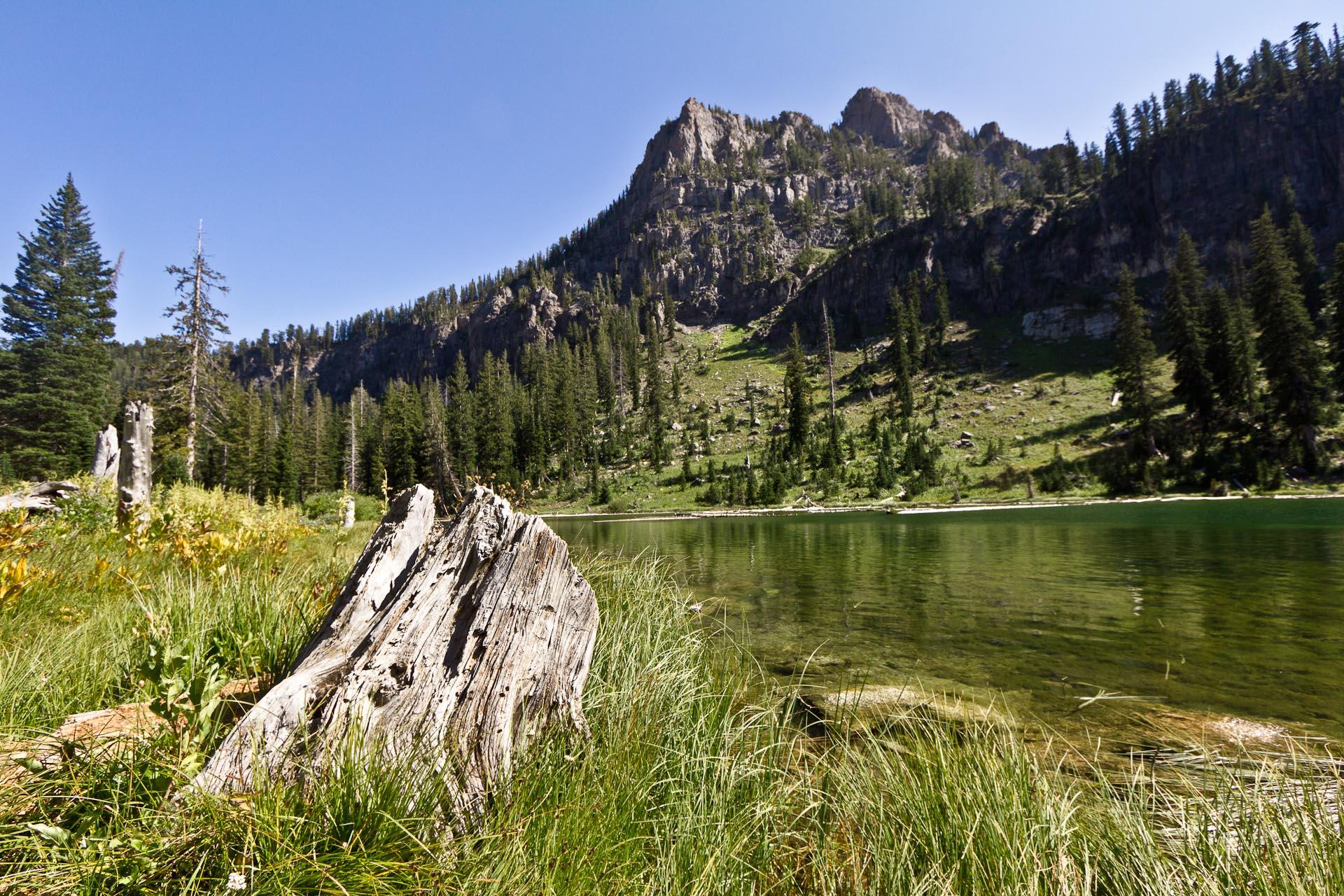 A clear lake with a large tree stump, backed by a rocky mountain.