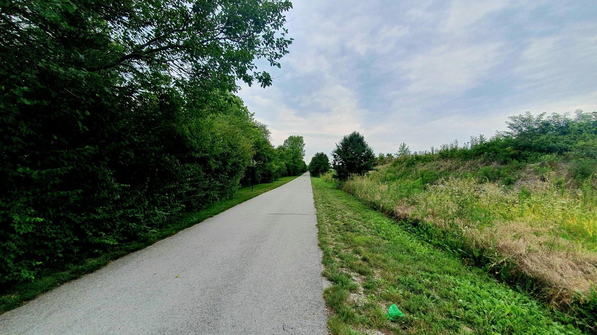 Paved path through green trees and grassy bank under an overcast sky.