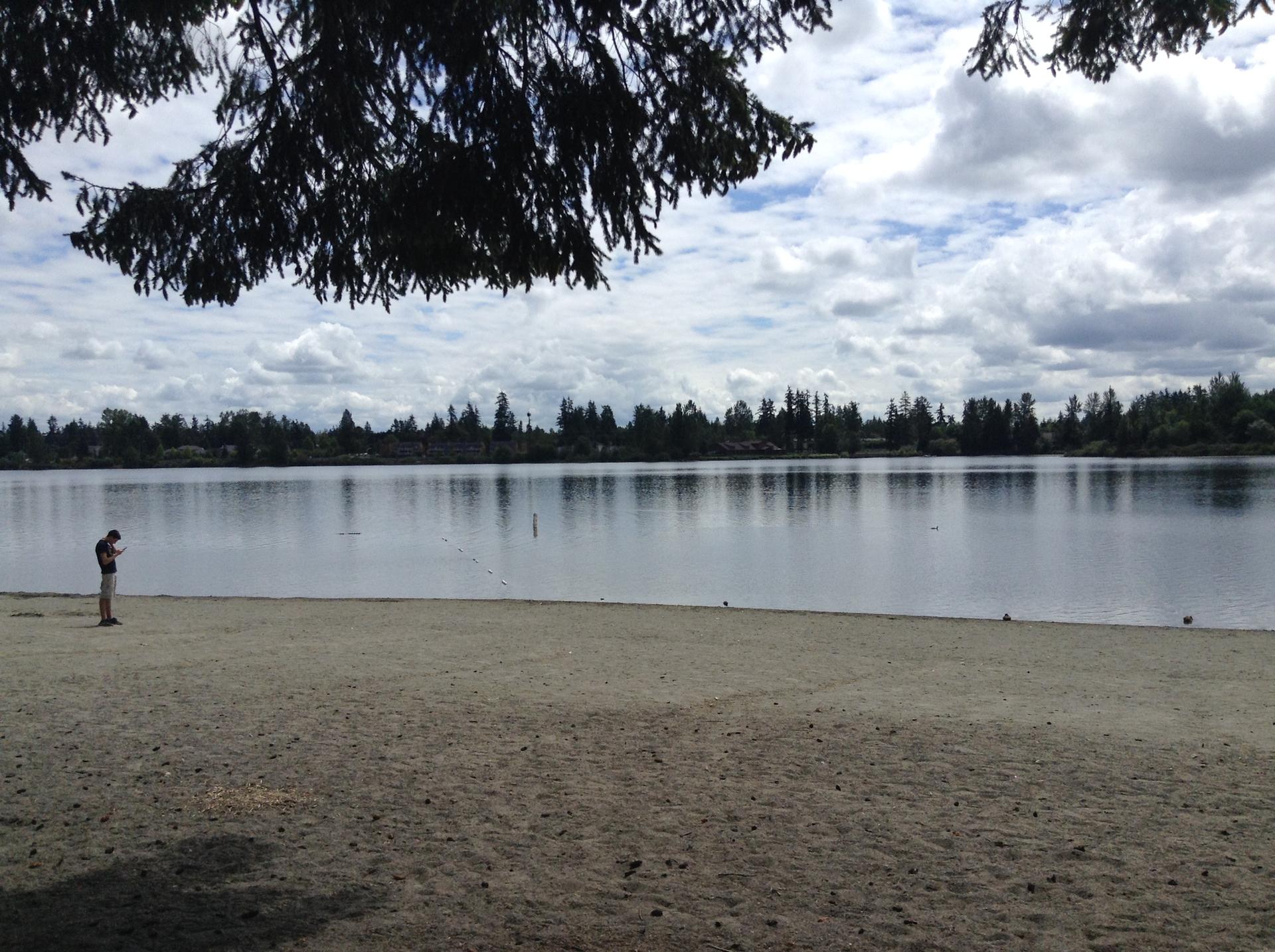 A person stands on a sandy beach by a calm lake under a cloudy sky.