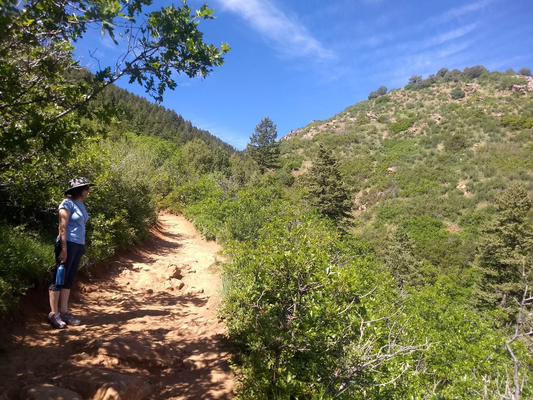 Person standing on a sunny dirt trail through green, forested hills. - Plymouth Creek Trail – Denver Skyline loop from Classification Natural Resource Protection