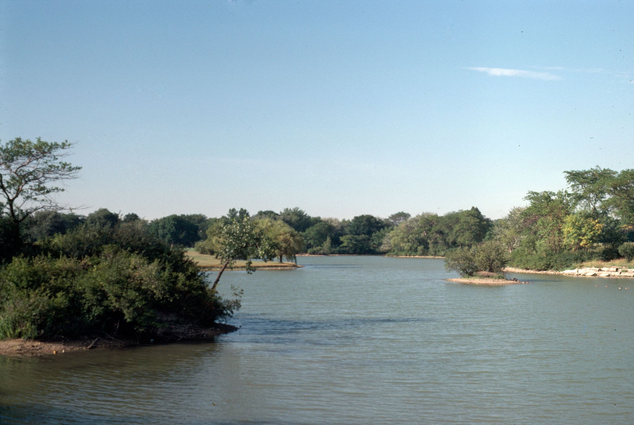 Calm lake surrounded by lush green trees under a clear blue sky. - Marquette Park loop