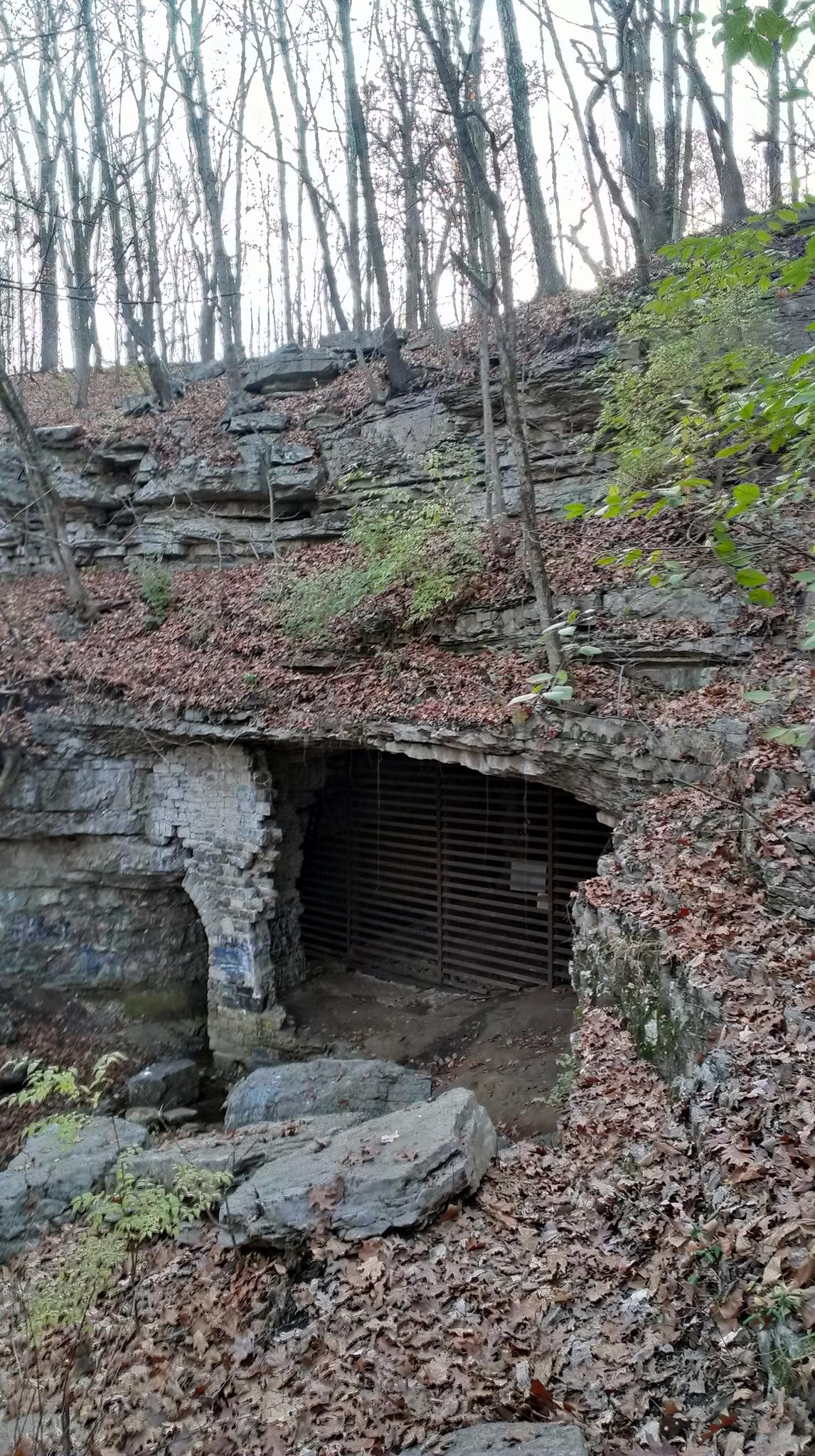 Gated cave entrance in a rocky cliff with bare trees and fallen leaves.