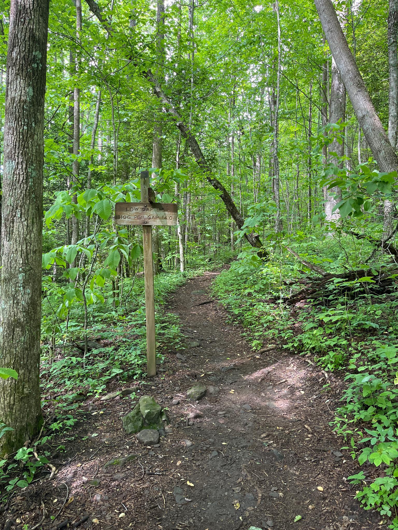 A wooden trail signpost marks a winding dirt path in a dense green forest.
