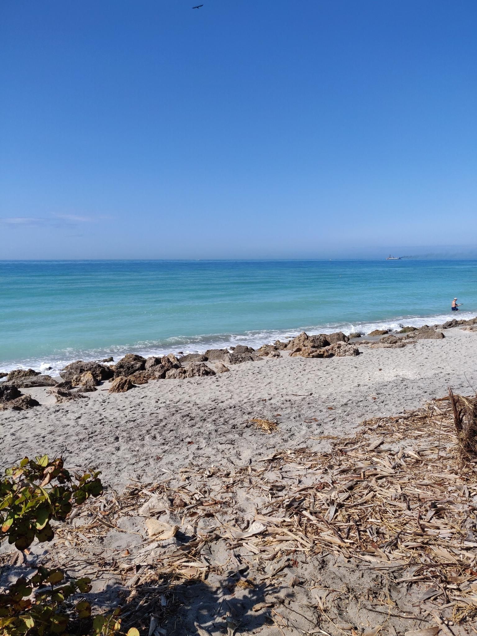 Sunny beach with turquoise ocean, rocks, driftwood, and a distant swimmer. - Caspersen Beach – Tortoise Sighting loop from Venice