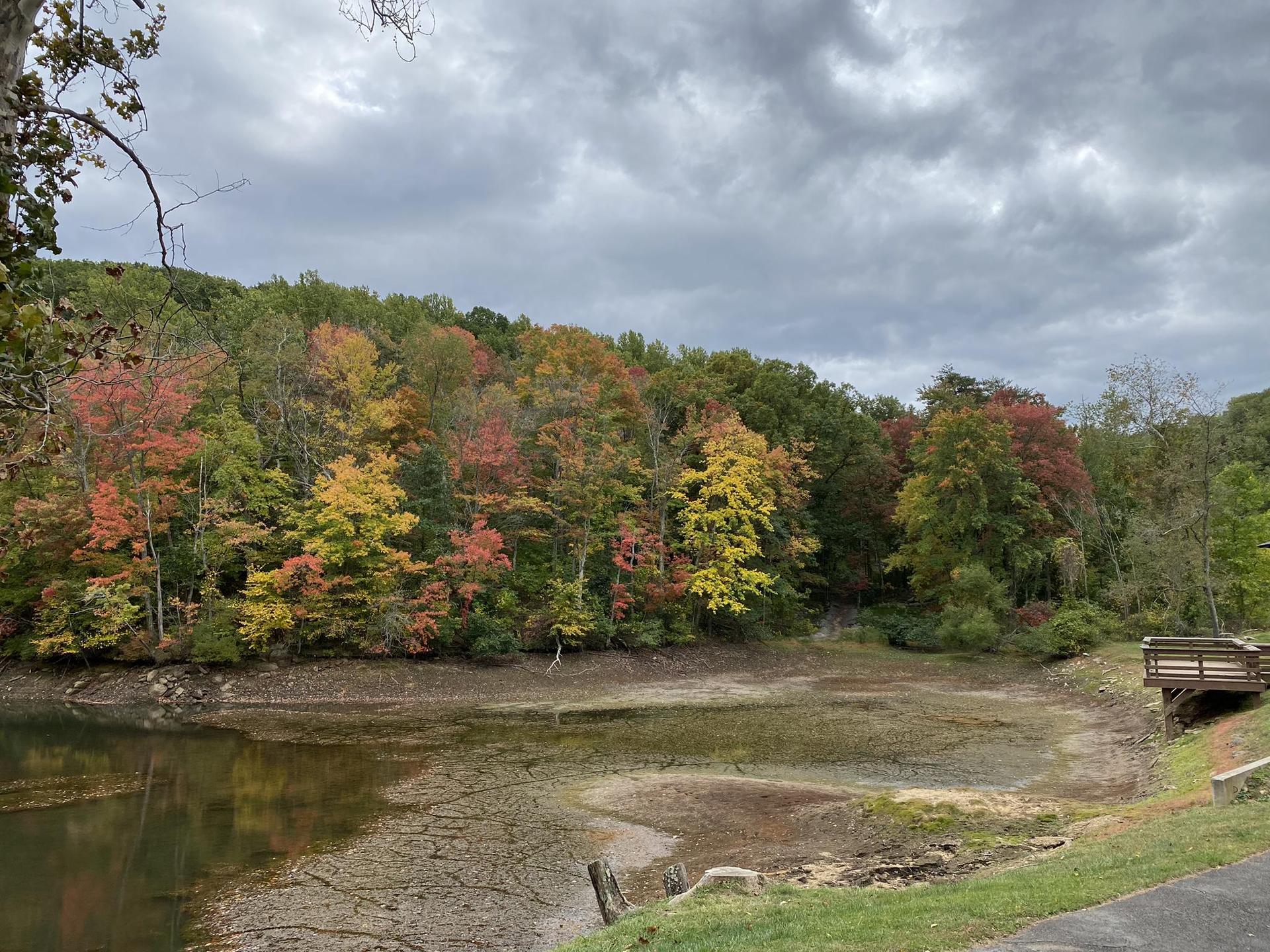 A lake with low water revealing cracked earth, surrounded by autumn trees.