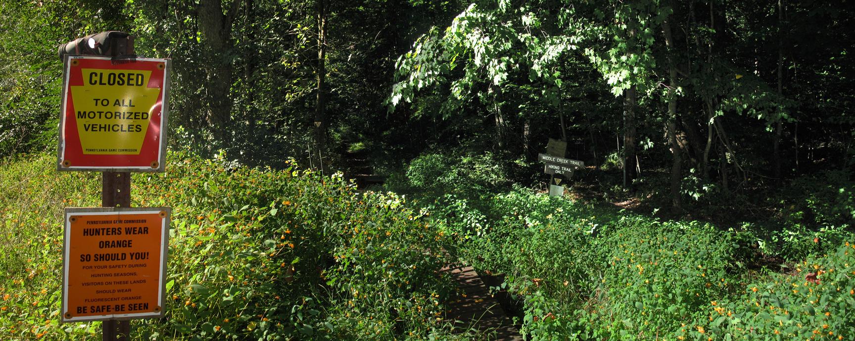 Warning signs on a post beside an overgrown path in green foliage.