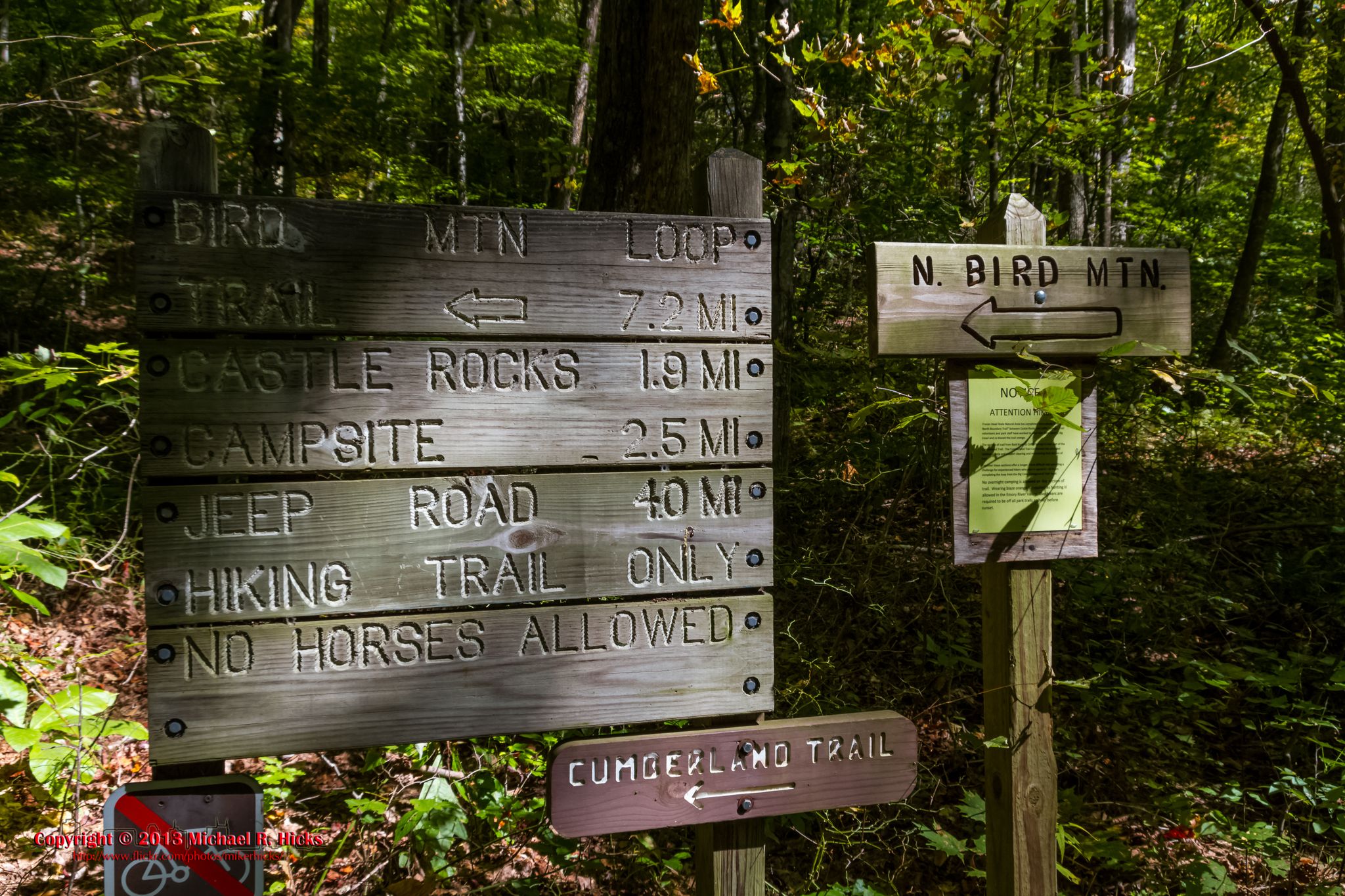 Multiple weathered wooden trail signs stand in a sun-dappled forest. - Bird Mountain Loop