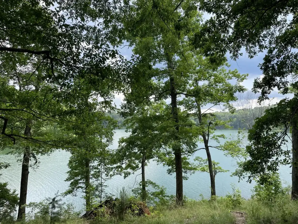 A bright lake viewed through green trees on a cloudy day.