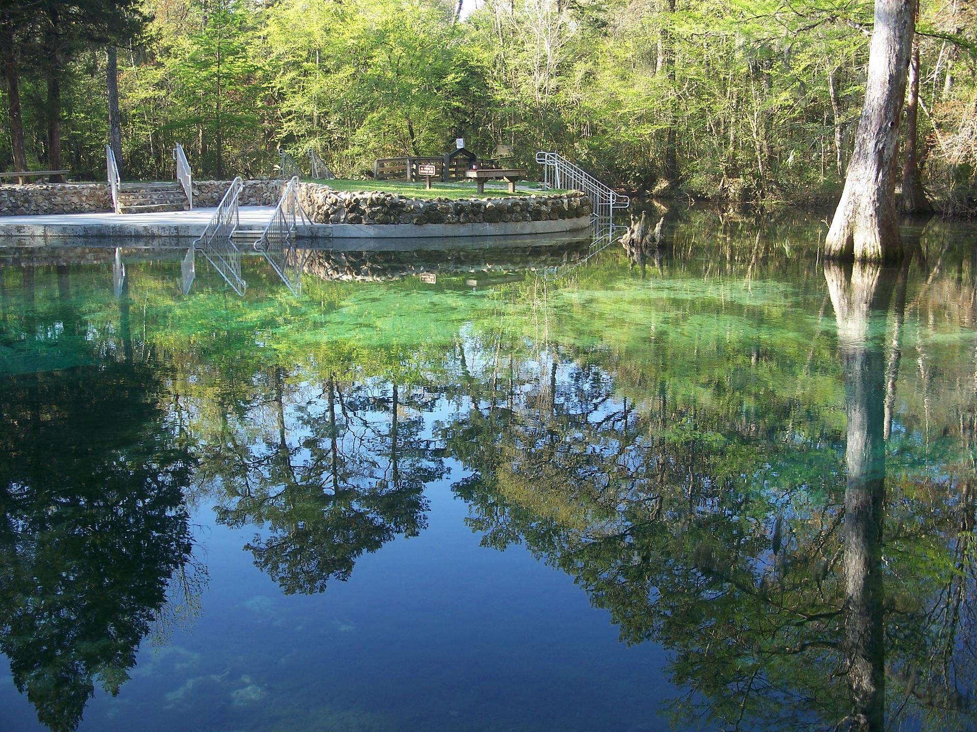 Clear spring reflecting trees, with a concrete platform and steps.