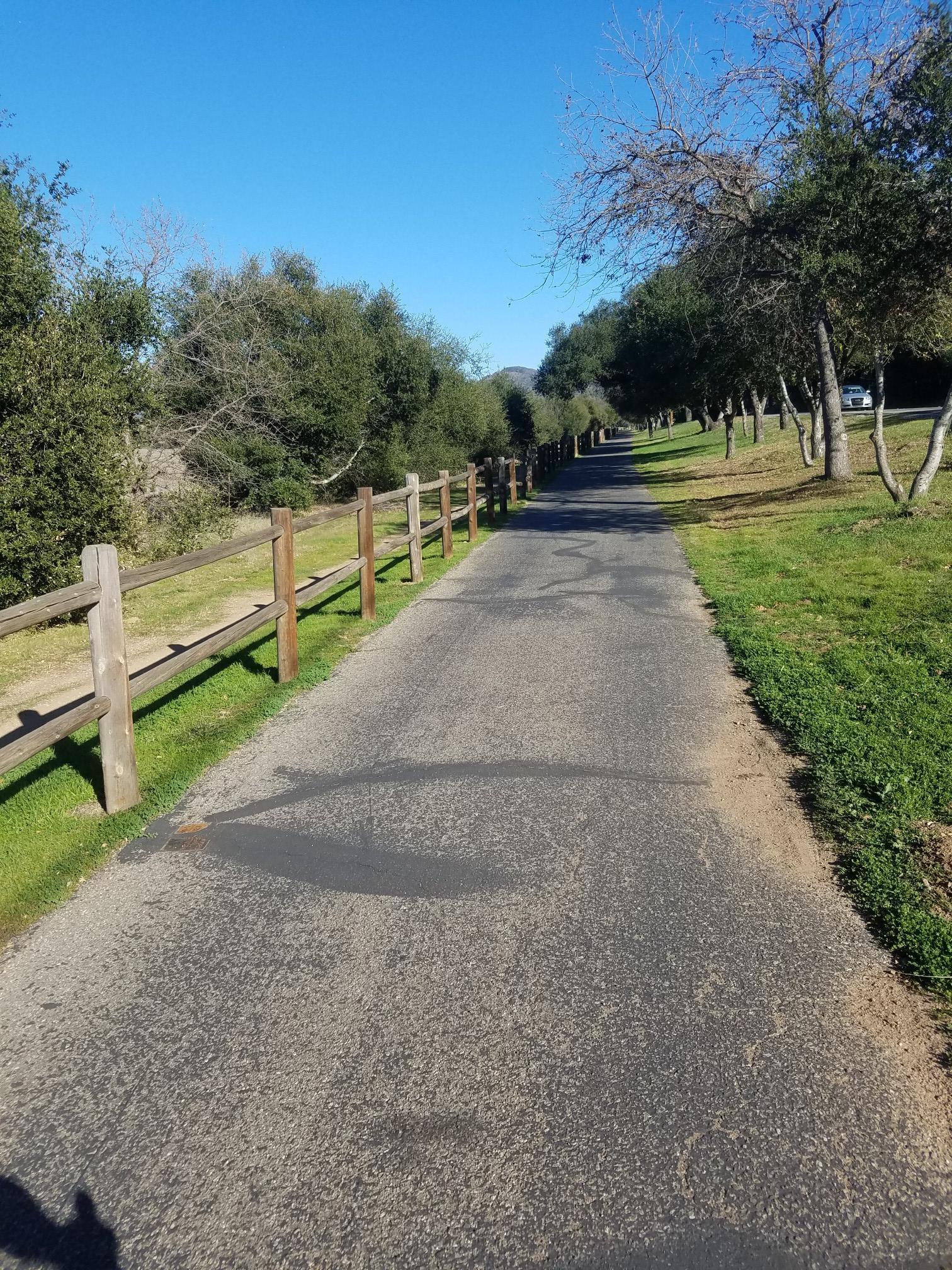 Paved path lined with a wooden fence and green trees on a sunny day.