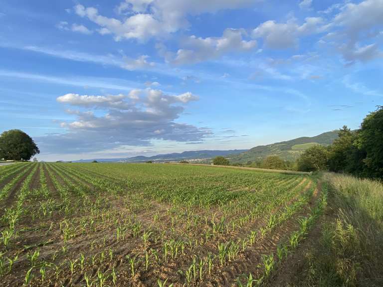 Bench with a view of the Teck and 3 Kaiserberge mountains Mountain