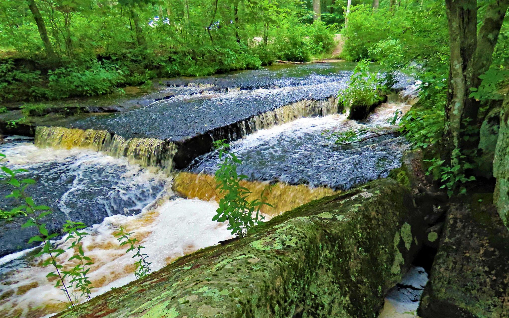 Cascading waterfalls over dark rocks in a vibrant green forest.