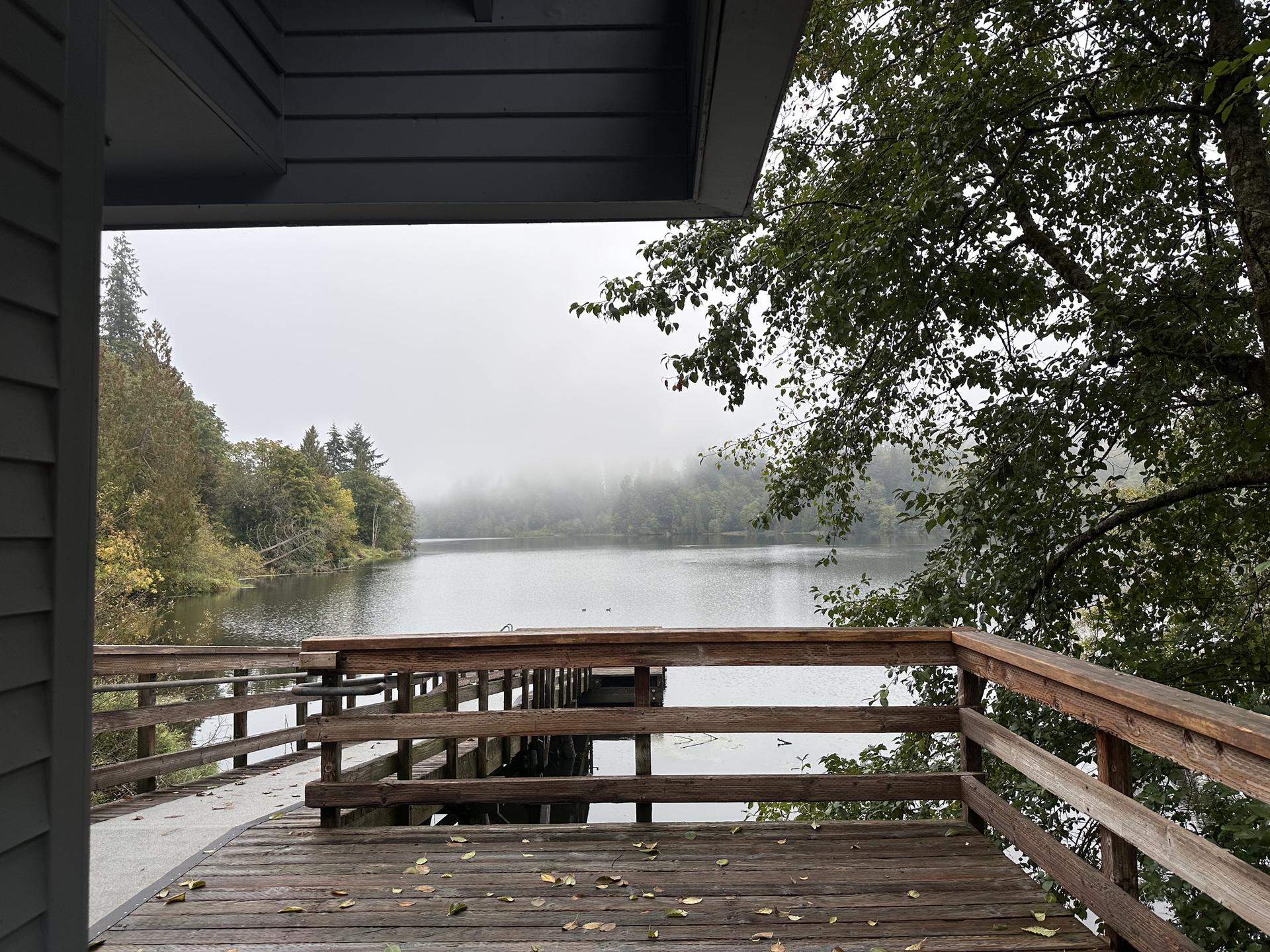A wooden deck and railing overlook a misty, calm lake surrounded by trees.