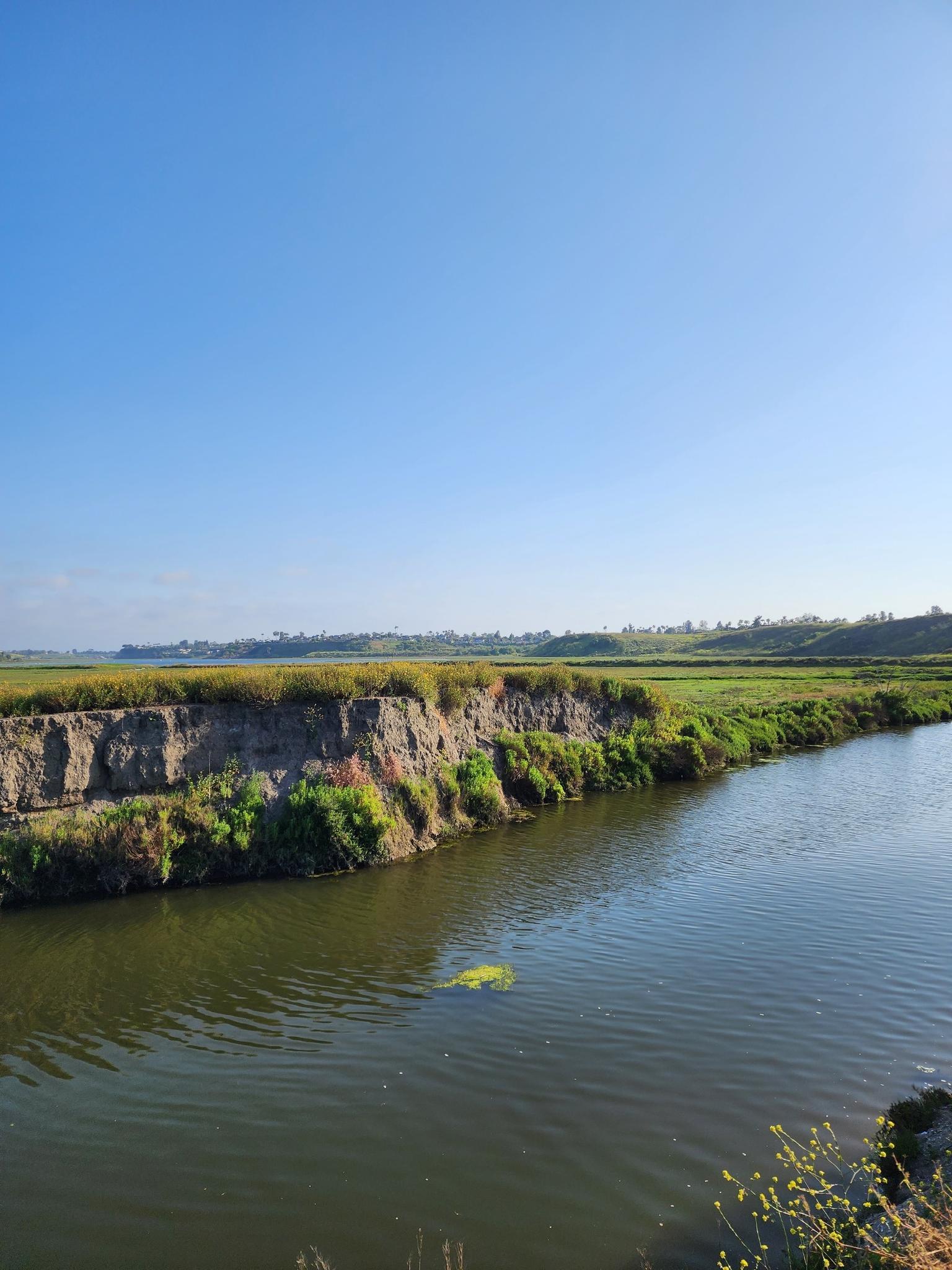 Calm river flowing between grassy banks and a steep dirt cliff under a clear sky.