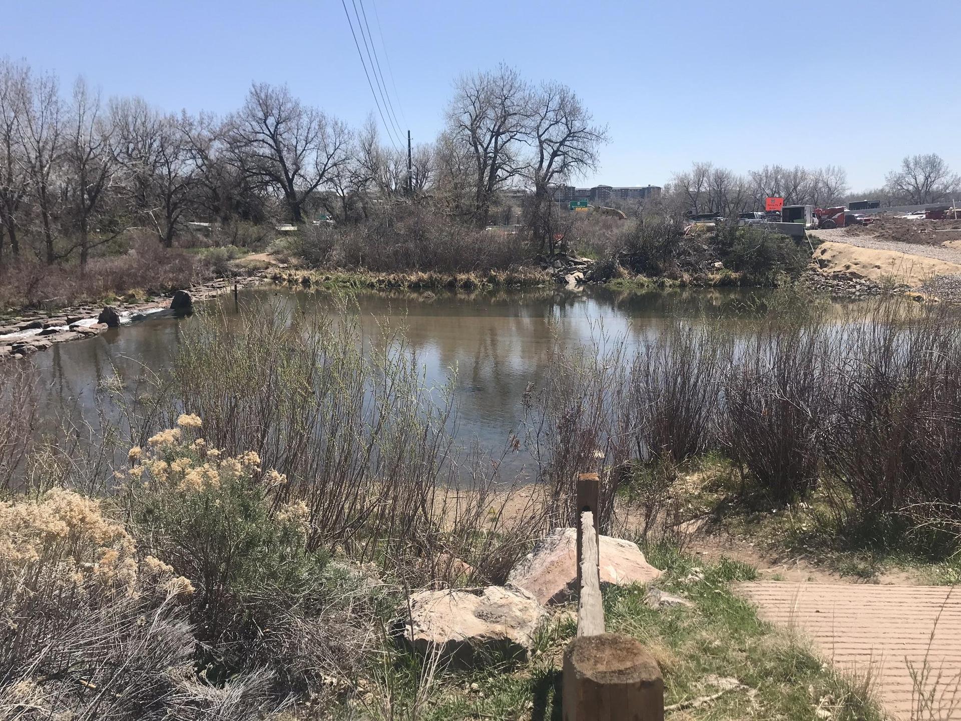 A pond surrounded by bare trees and brush under a bright blue sky.