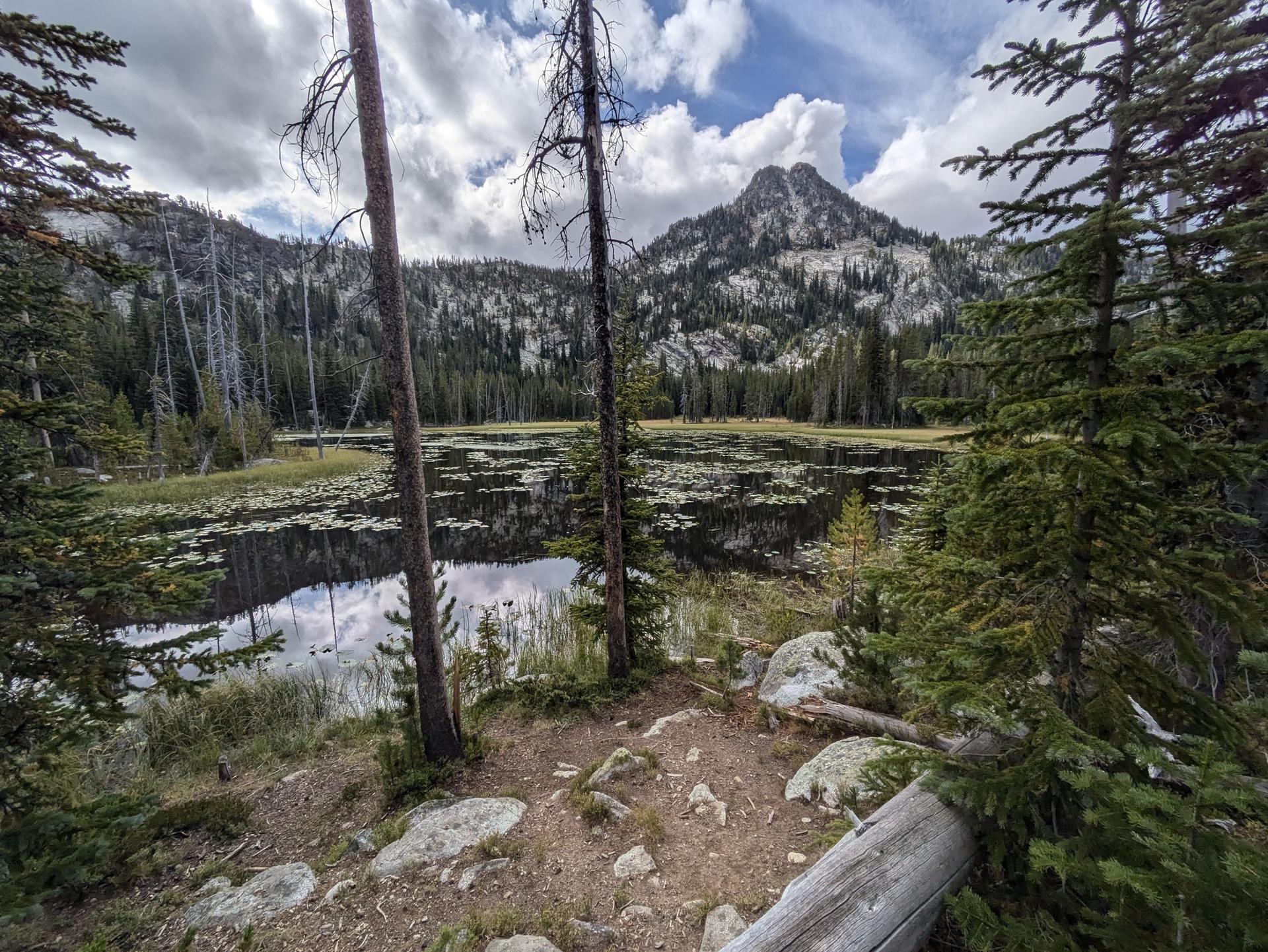 Mountain lake with lily pads, surrounded by pine trees under a cloudy sky.