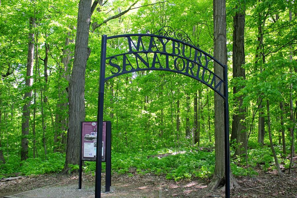 A black archway sign stands at the entrance to a lush green forest.