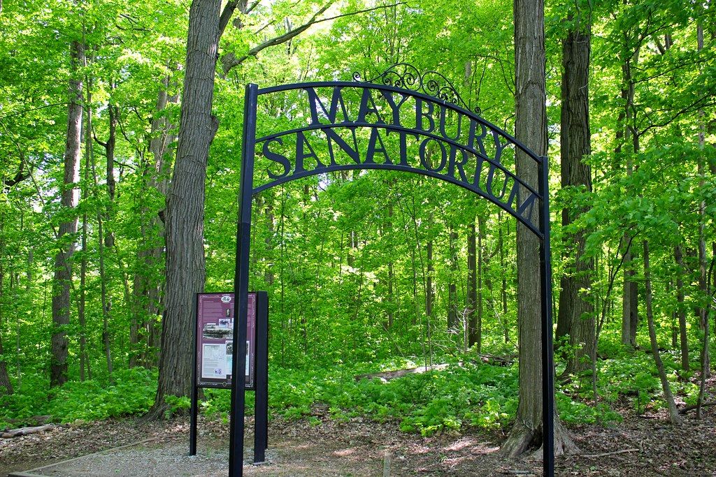 A black archway sign stands at the entrance to a lush green forest. - Maybury State Park loop from Maybury State Park