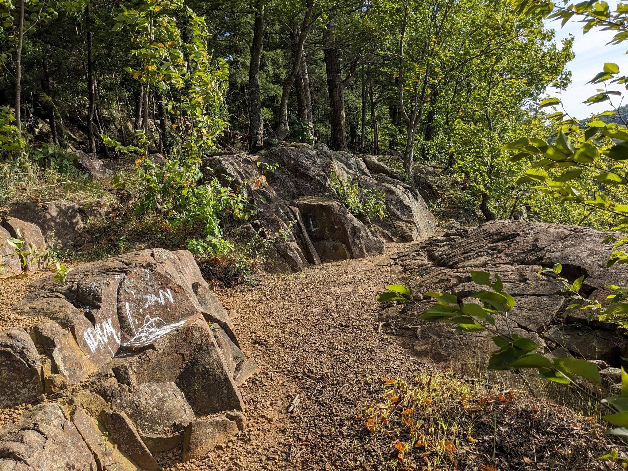 A rocky dirt path winds through a sunlit forest with green trees.
