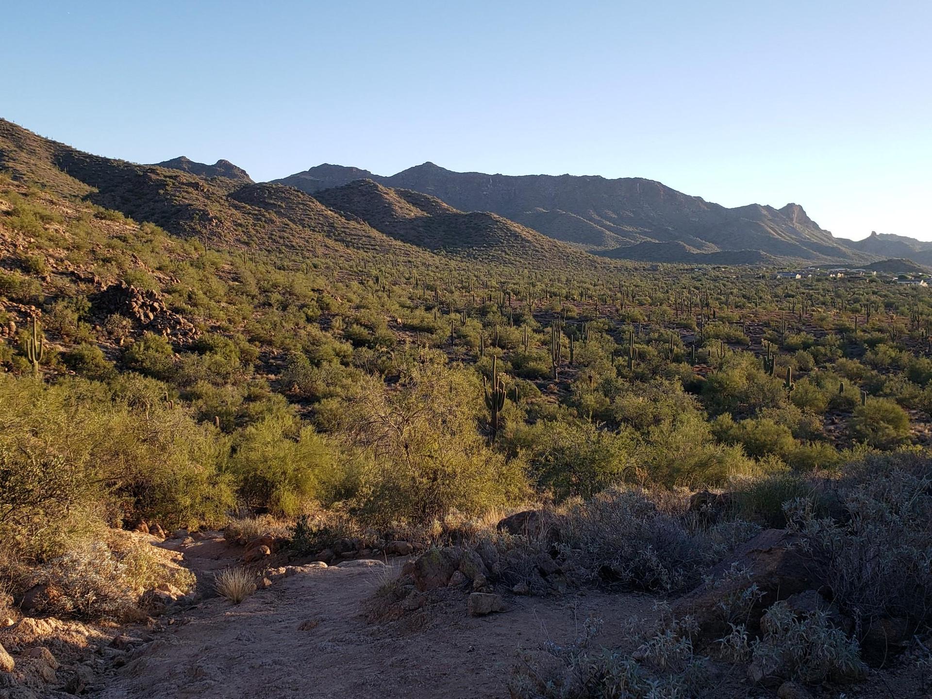 Desert mountains and hills covered in green shrubs and cacti under clear sky.