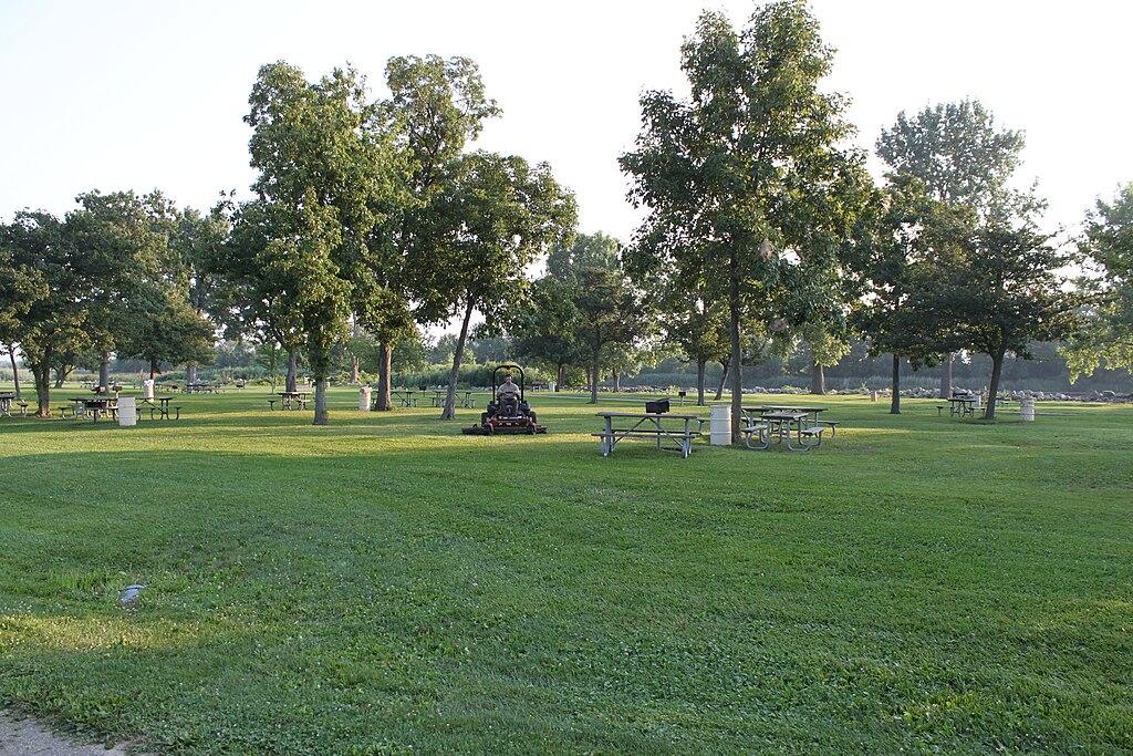 A sunny park with green grass, many trees, and picnic tables.