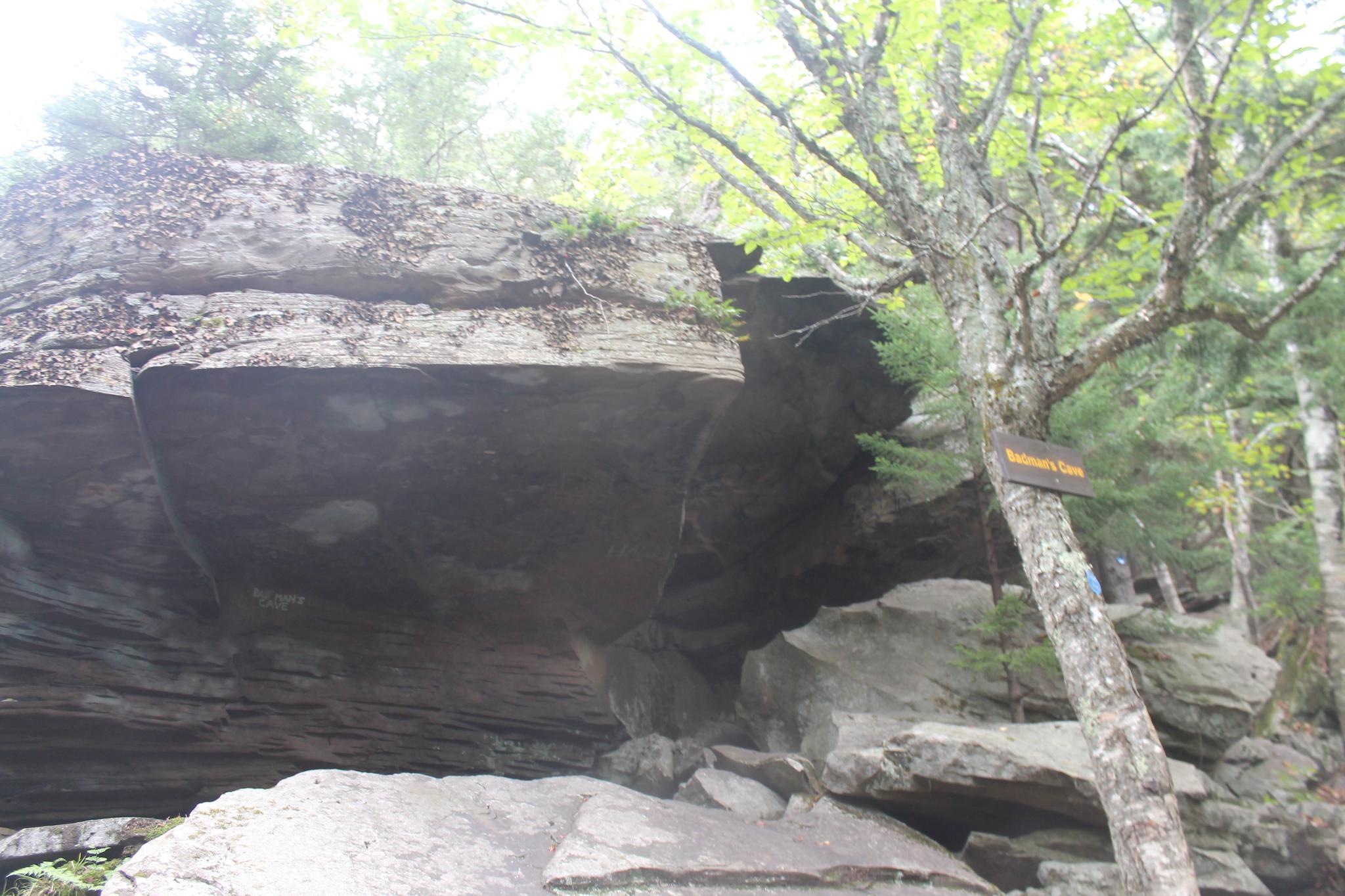 Overhanging rock formation in a forest, with a sign on a tree.