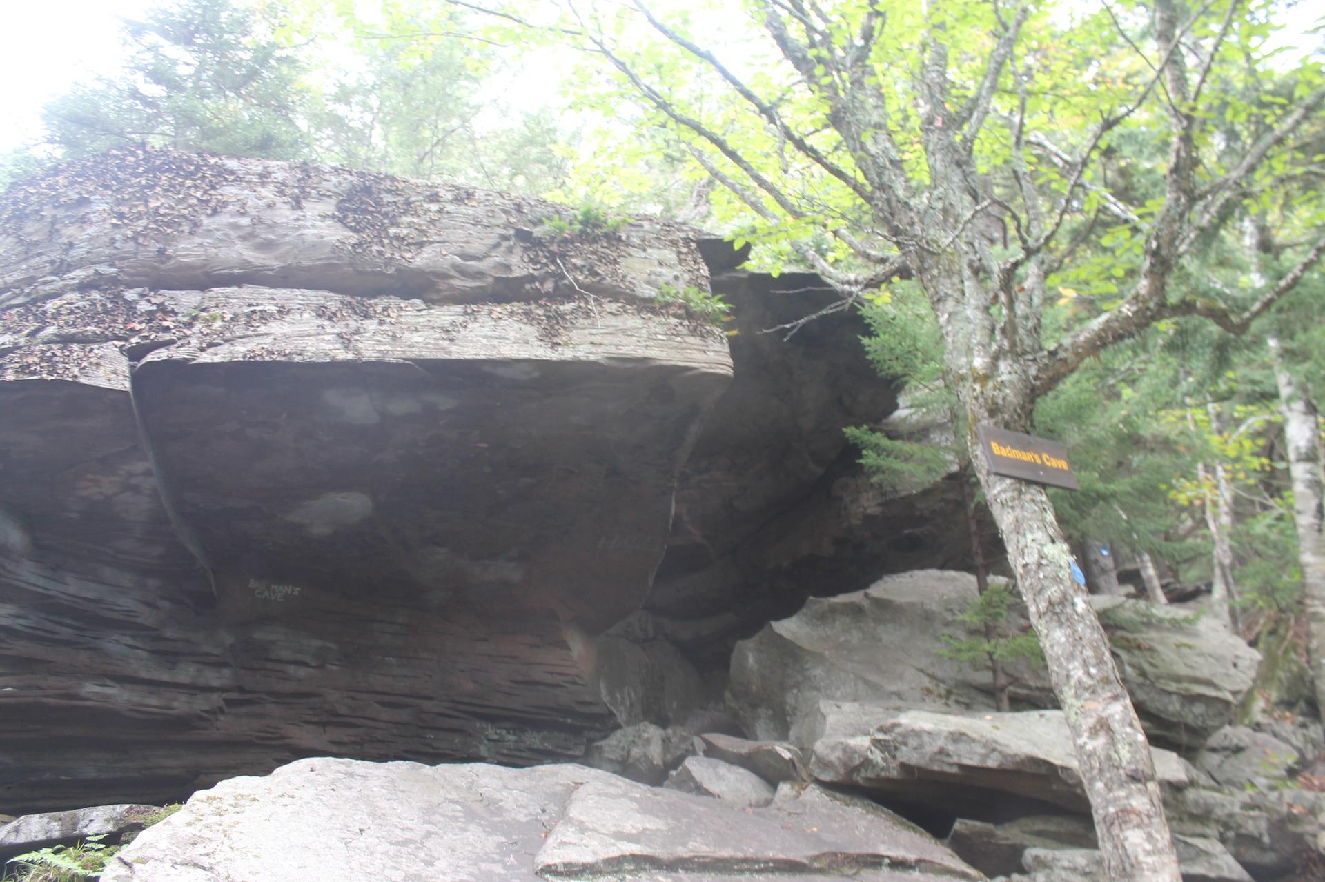 Overhanging rock formation in a forest, with a sign on a tree.