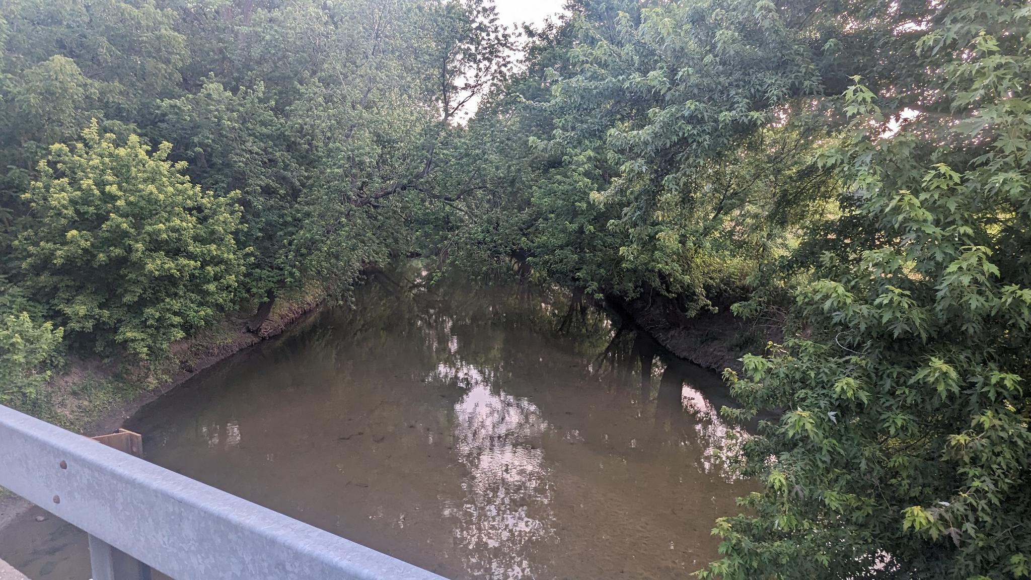 Dark water in a narrow stream surrounded by dense green trees.
