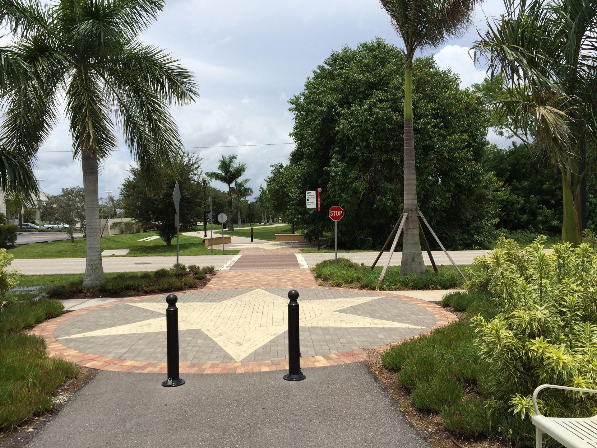Paved path with star design, surrounded by lush palm trees and greenery.