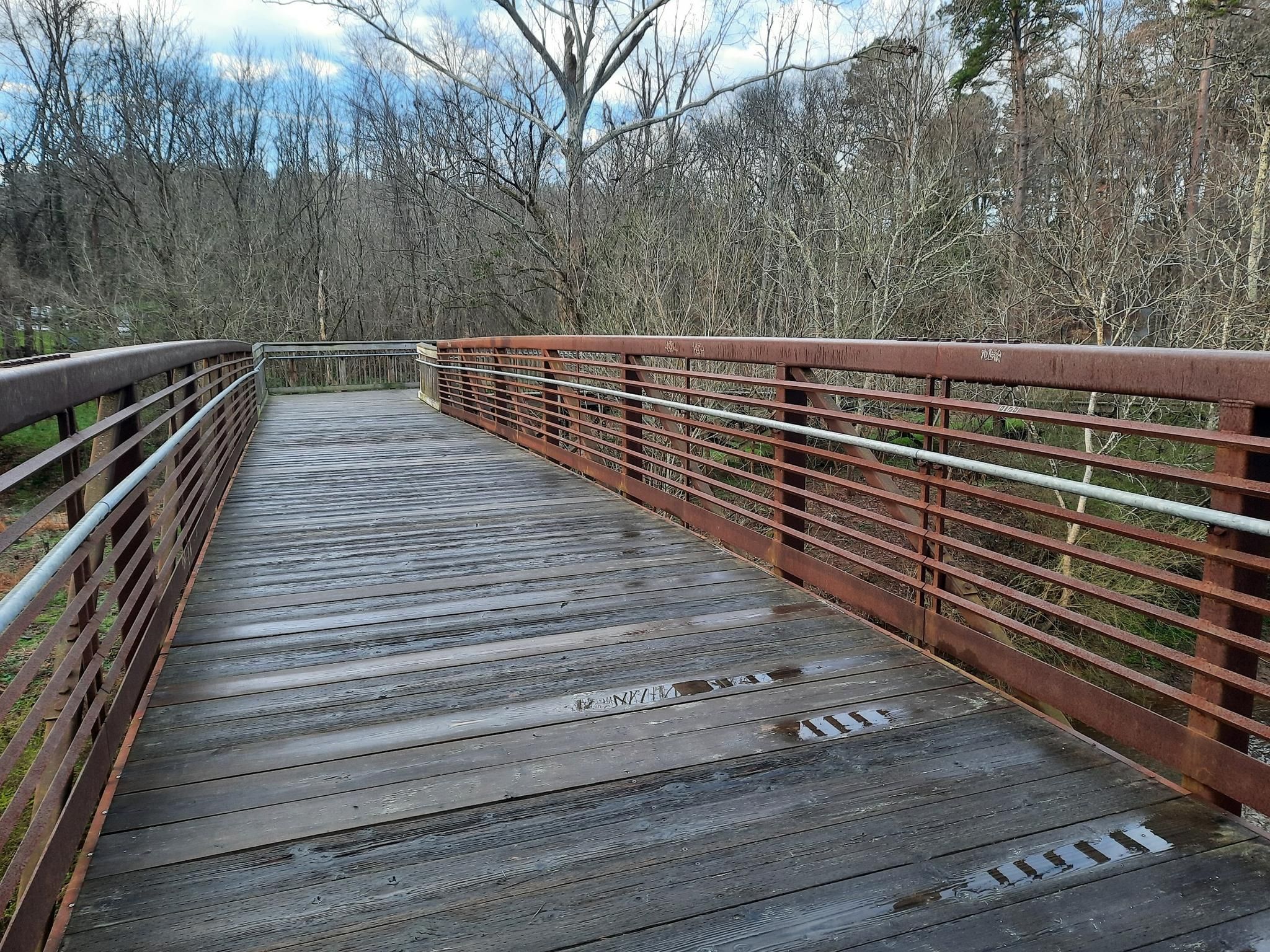 A wooden boardwalk with metal railings winds through bare winter trees under a cloudy sky. - Hillsborough Riverwalk