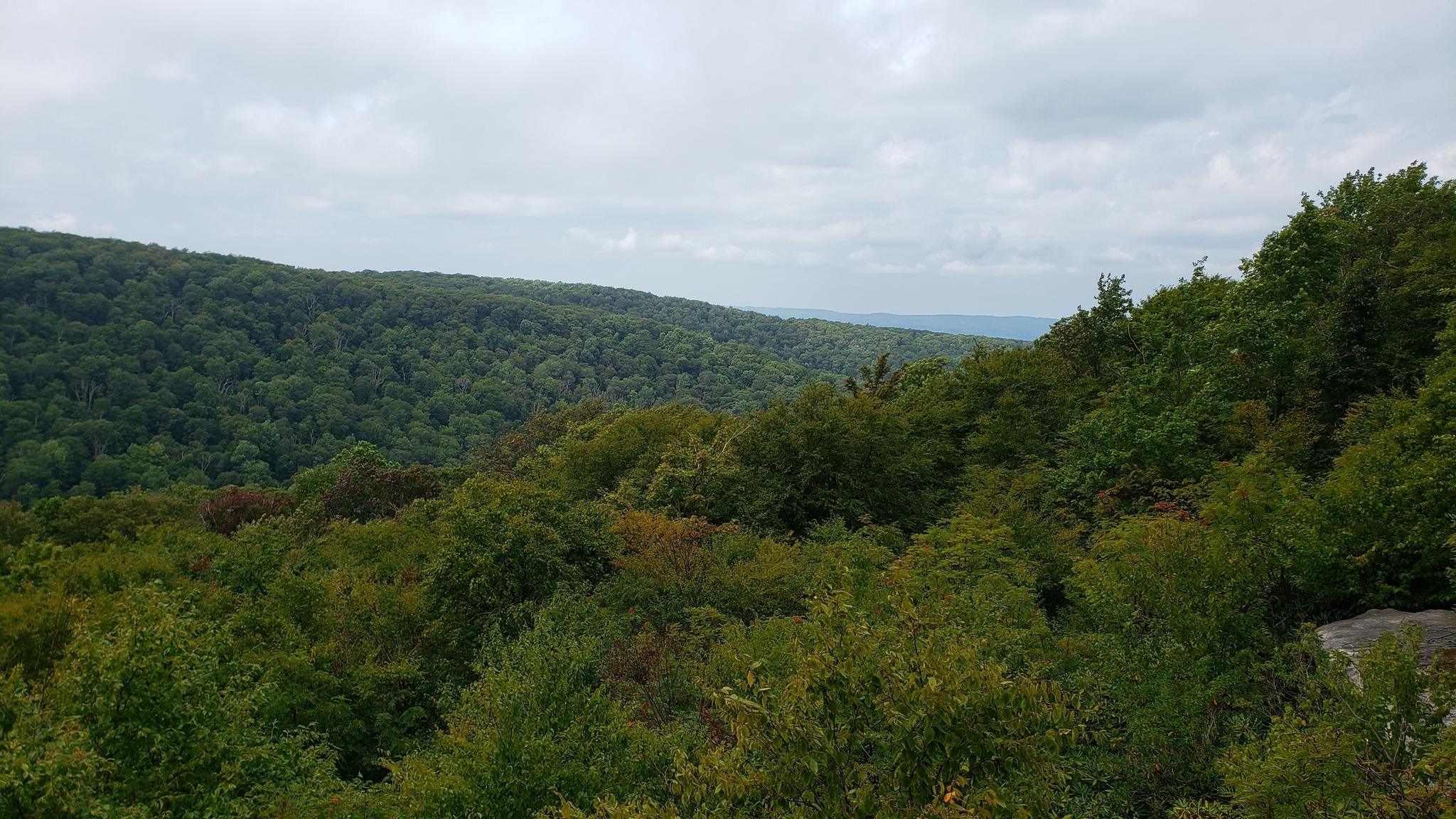 Overcast view of dense green forest covering rolling hills. - Wolf Rocks Loop Trail