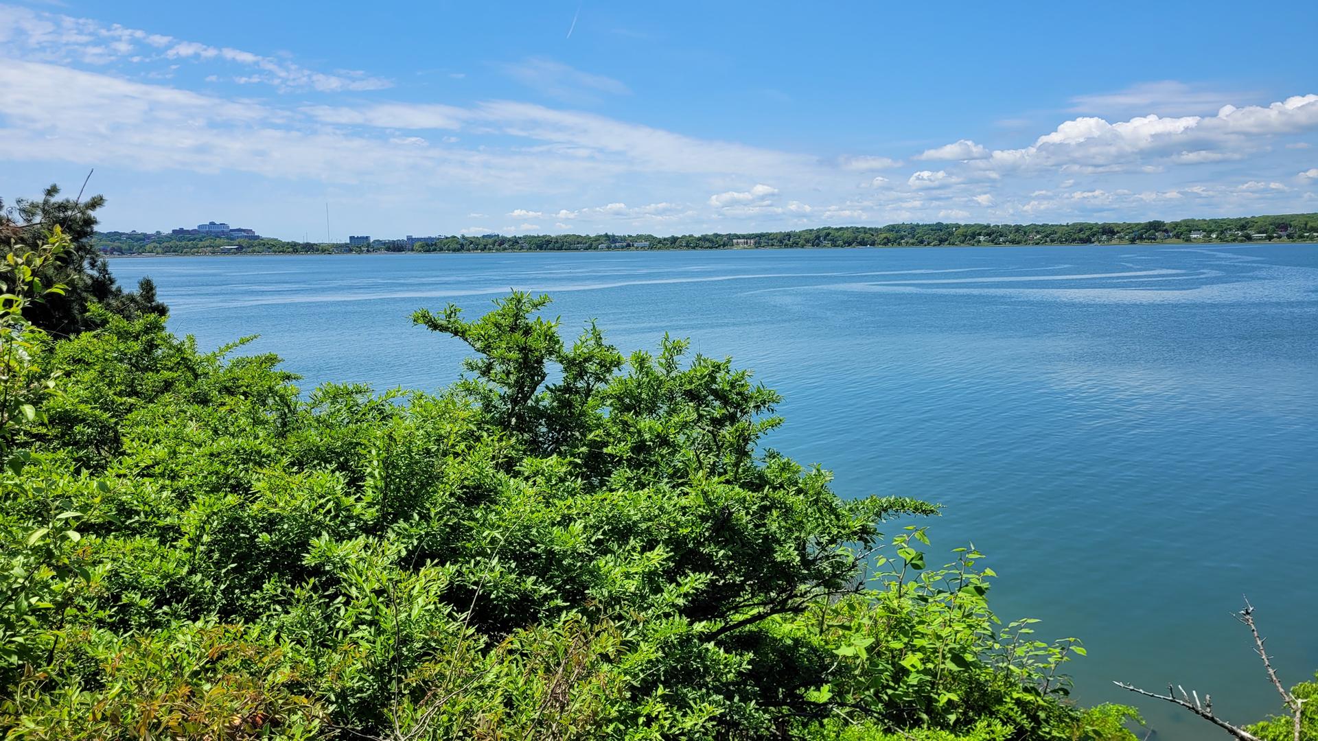 Bright sunny day over a wide blue bay with green bushes.