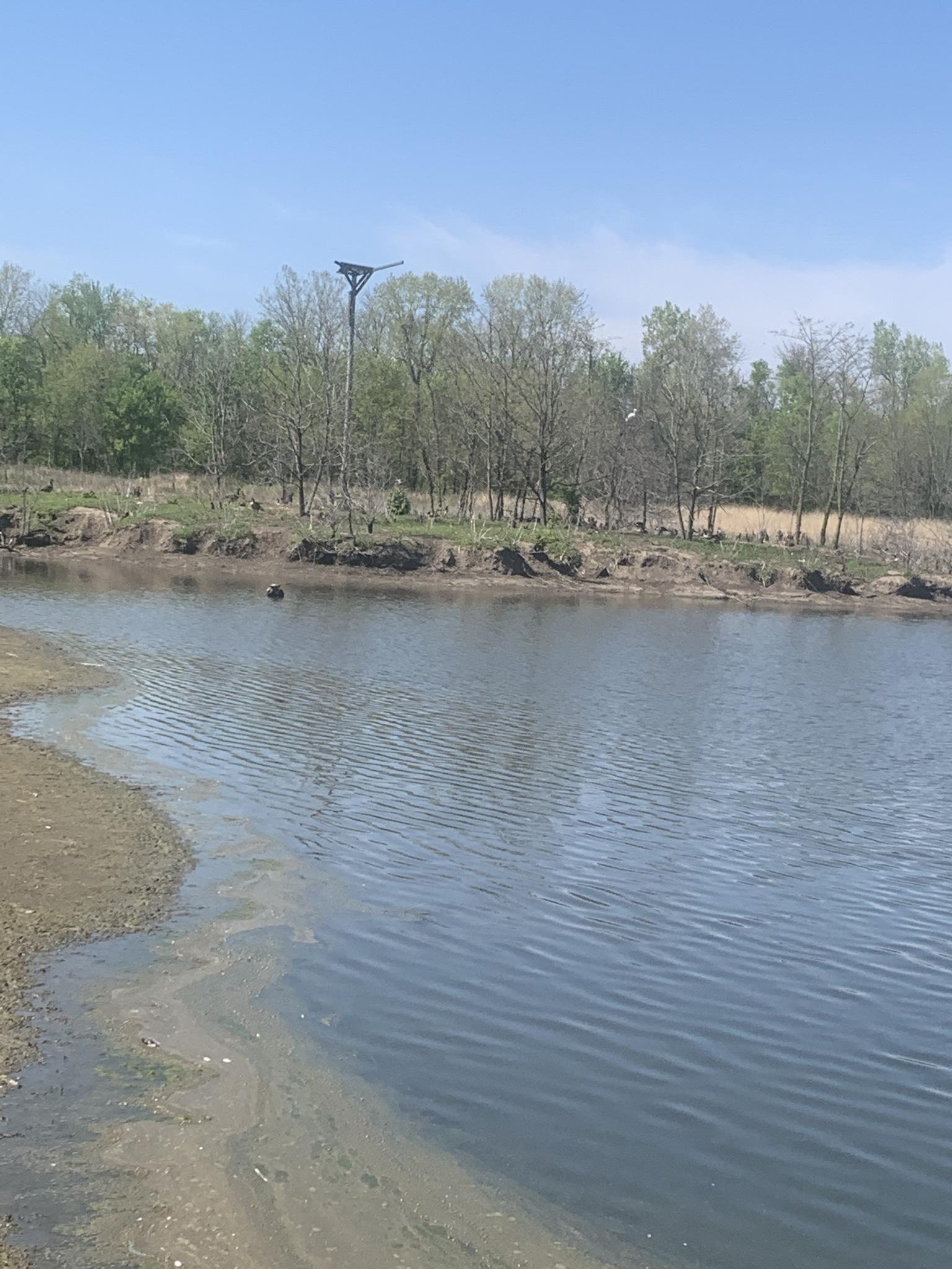 Calm water with sandy bank, distant trees, and a tall bird nest structure.