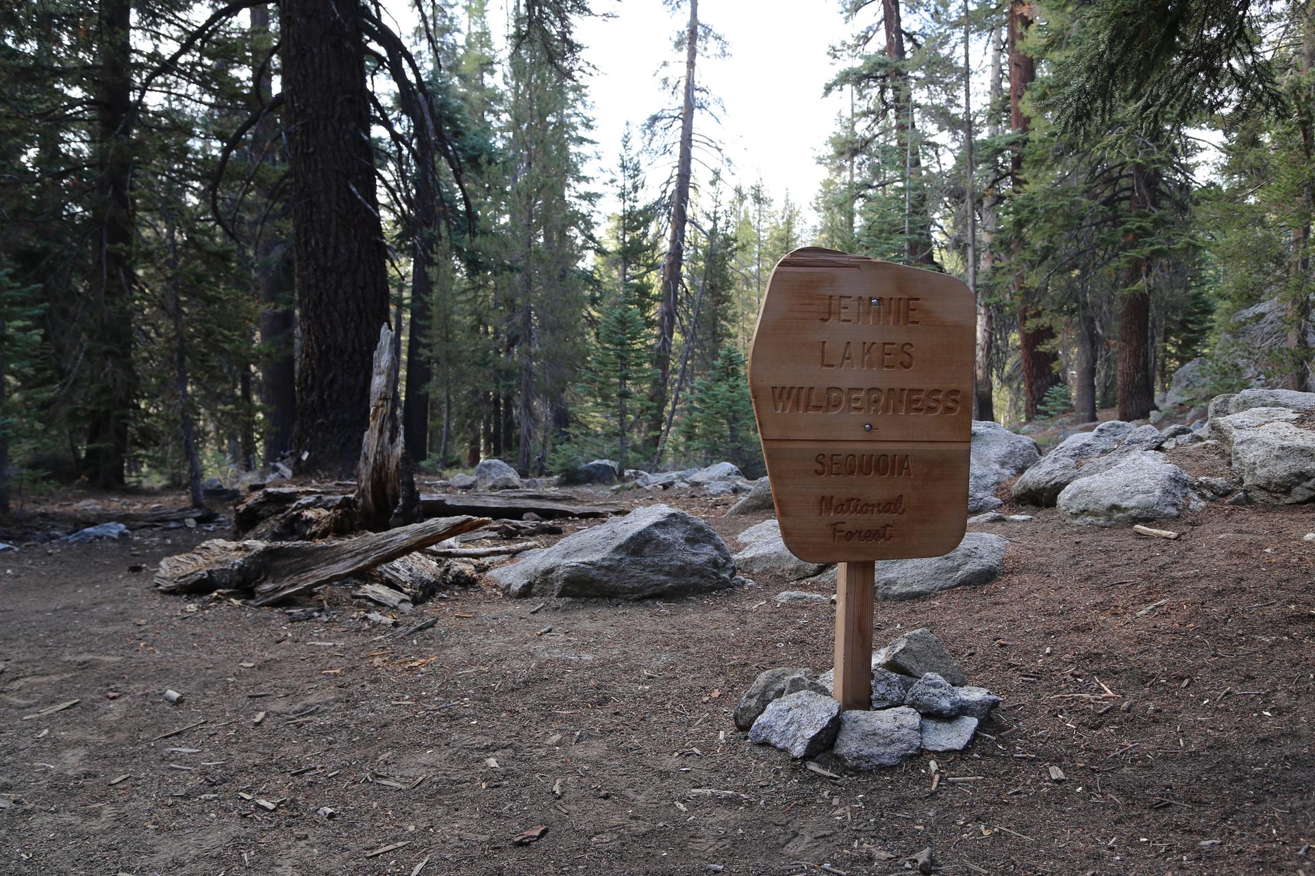 A wooden sign stands in a dense, shaded pine forest with rocks.