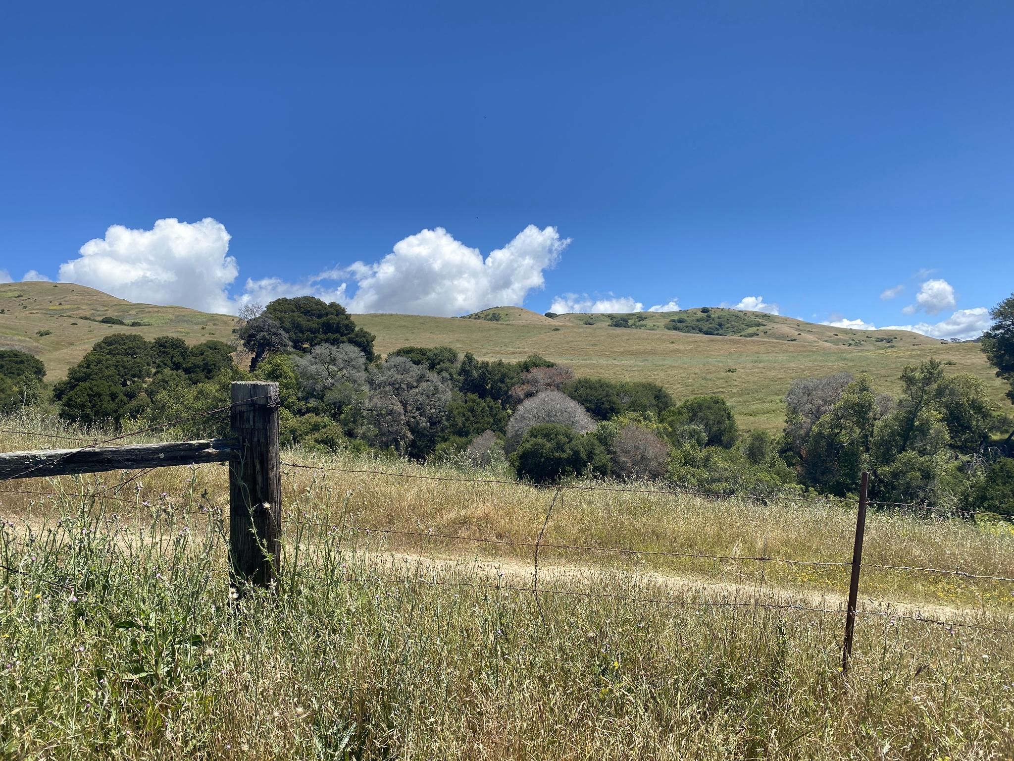 Wooden fence post in a grassy field with rolling hills and white clouds. - Wildcat Canyon Regional Park loop from El Cerrito