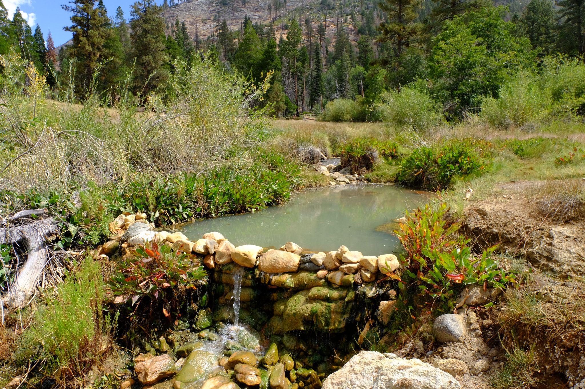 Small, light green pool with rock wall and waterfall in a sunny, green landscape. - Jordan Hot Springs via Casa Vieja Trail