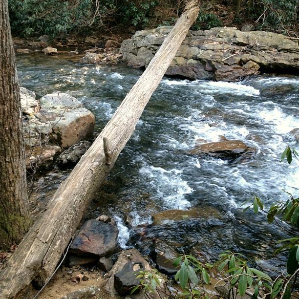 A fallen log spans a rocky, rushing river in a lush forest.