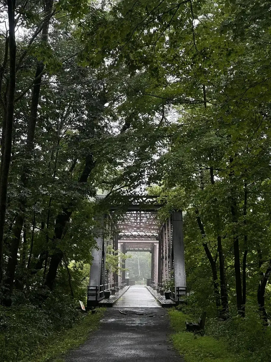 Dark, wet path leading to a metal bridge through a dense, green forest.