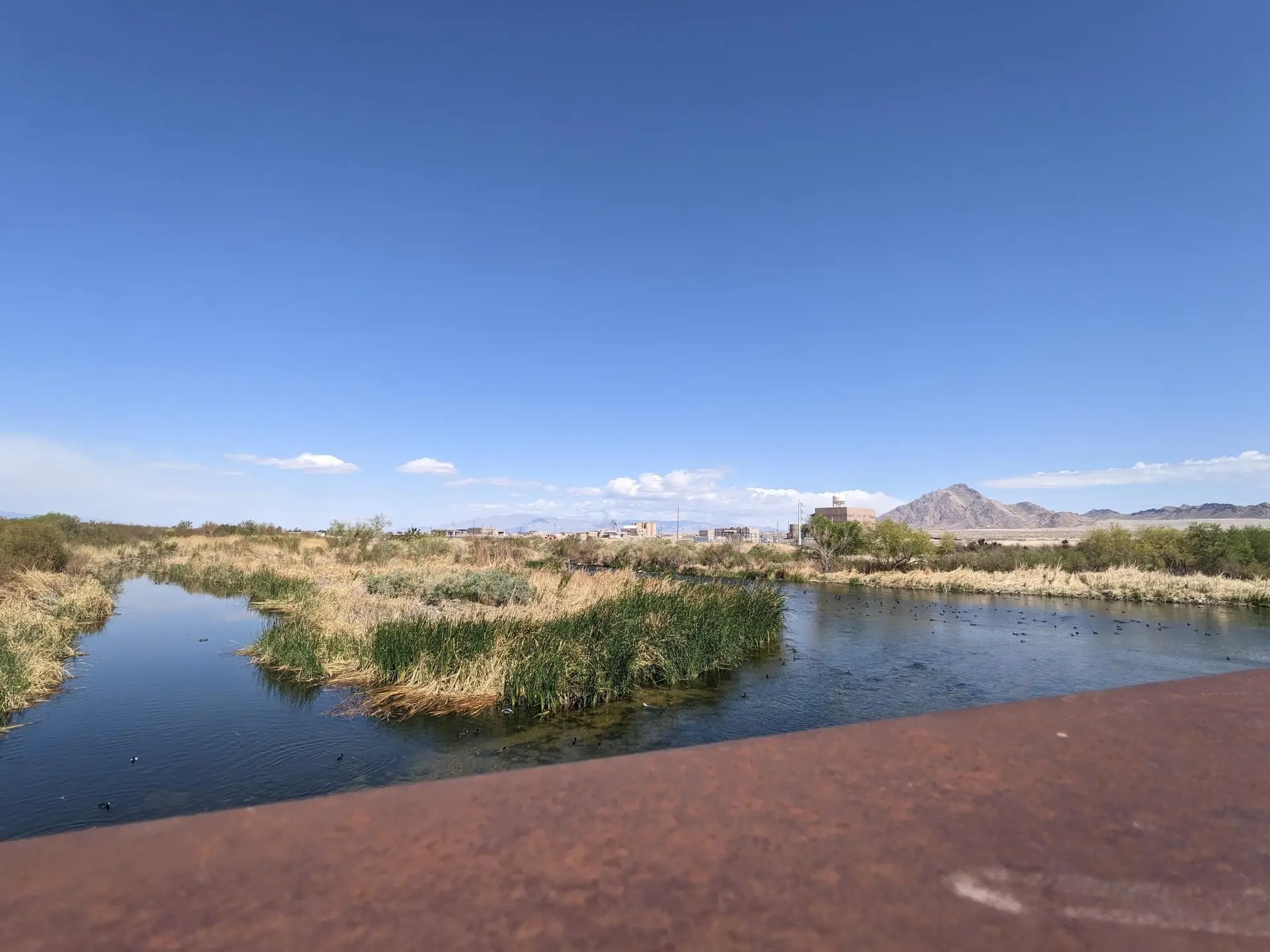 Sunny view of a river flowing through dry reeds and distant mountains.