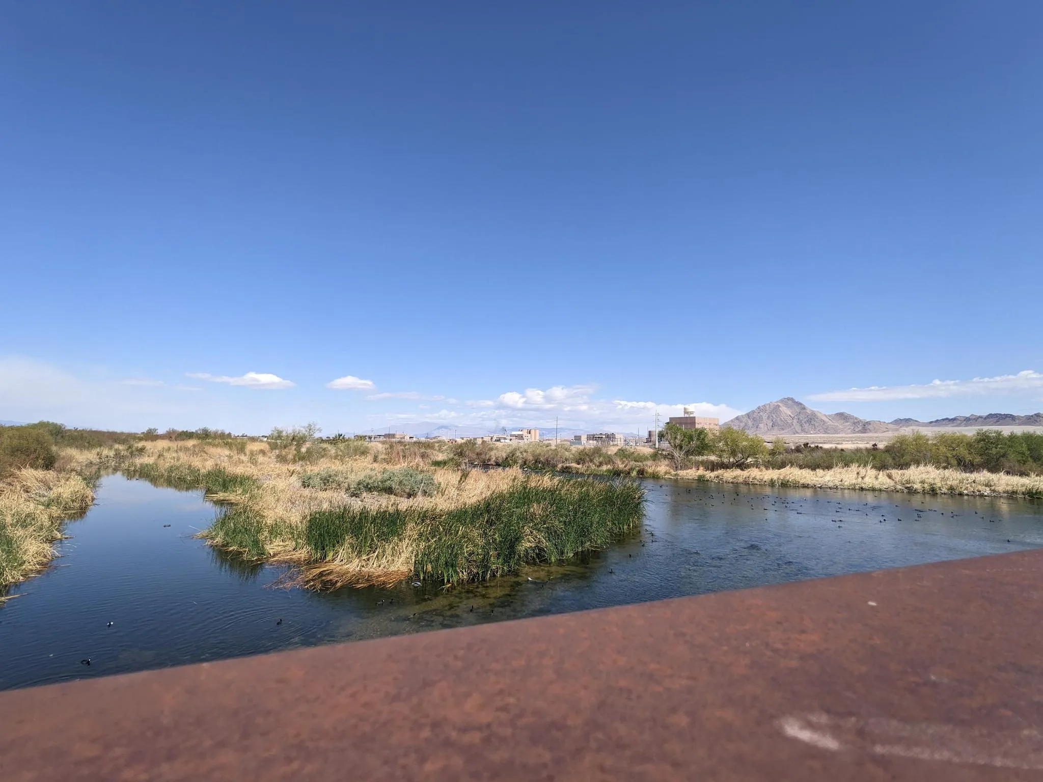 Sunny view of a river flowing through dry reeds and distant mountains. - Upper Las Vegas Wash Trail