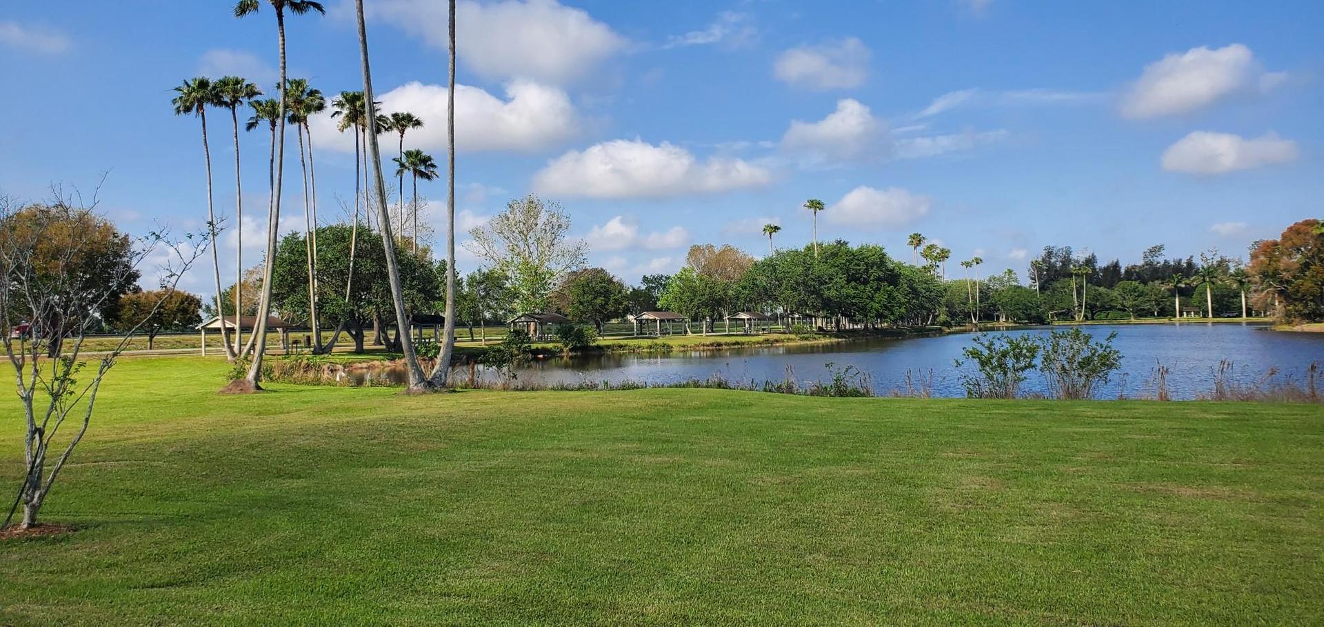 Grassy park with tall palm trees beside a calm lake under a blue sky.