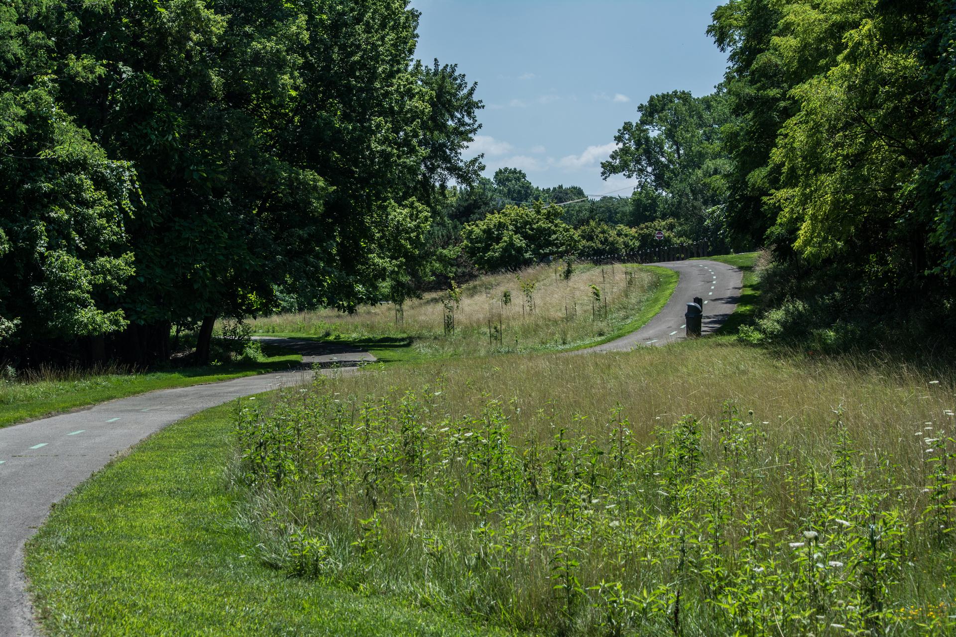 A paved path winds through a sunny, grassy field with lush trees.