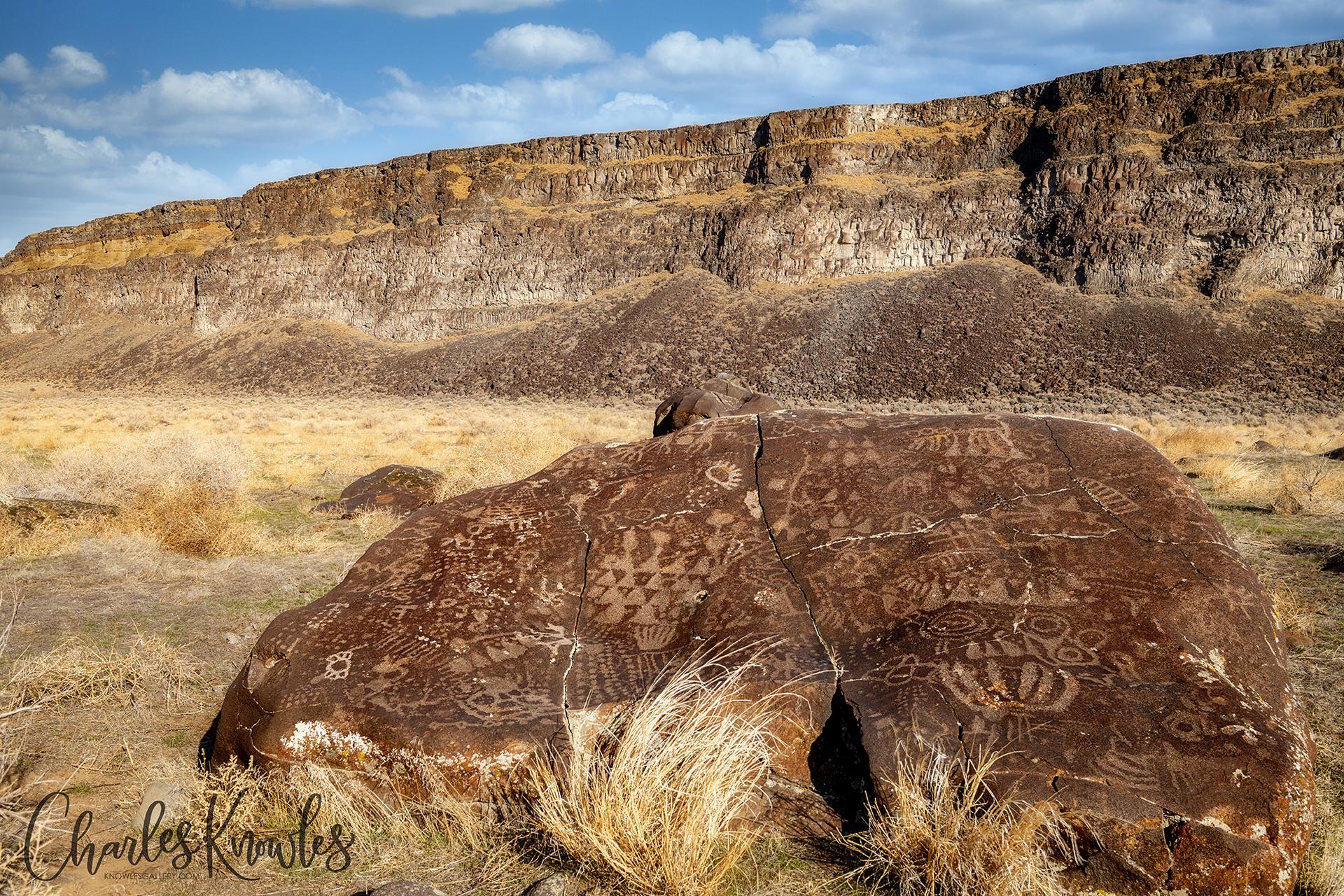 Large boulder with ancient petroglyphs in a dry, sunny landscape.