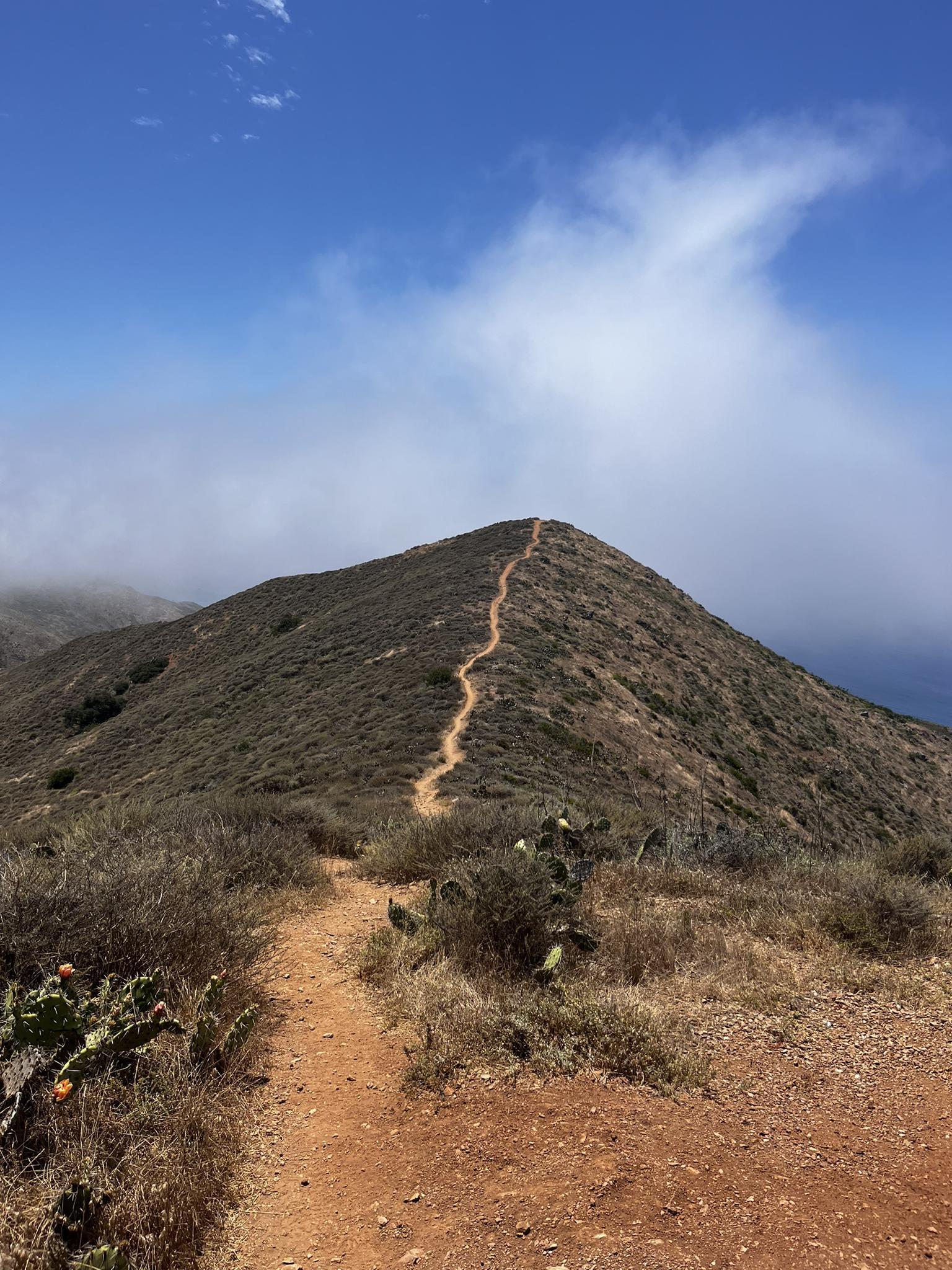 Narrow dirt trail ascends a steep, dry, brush-covered hill under a hazy sky.